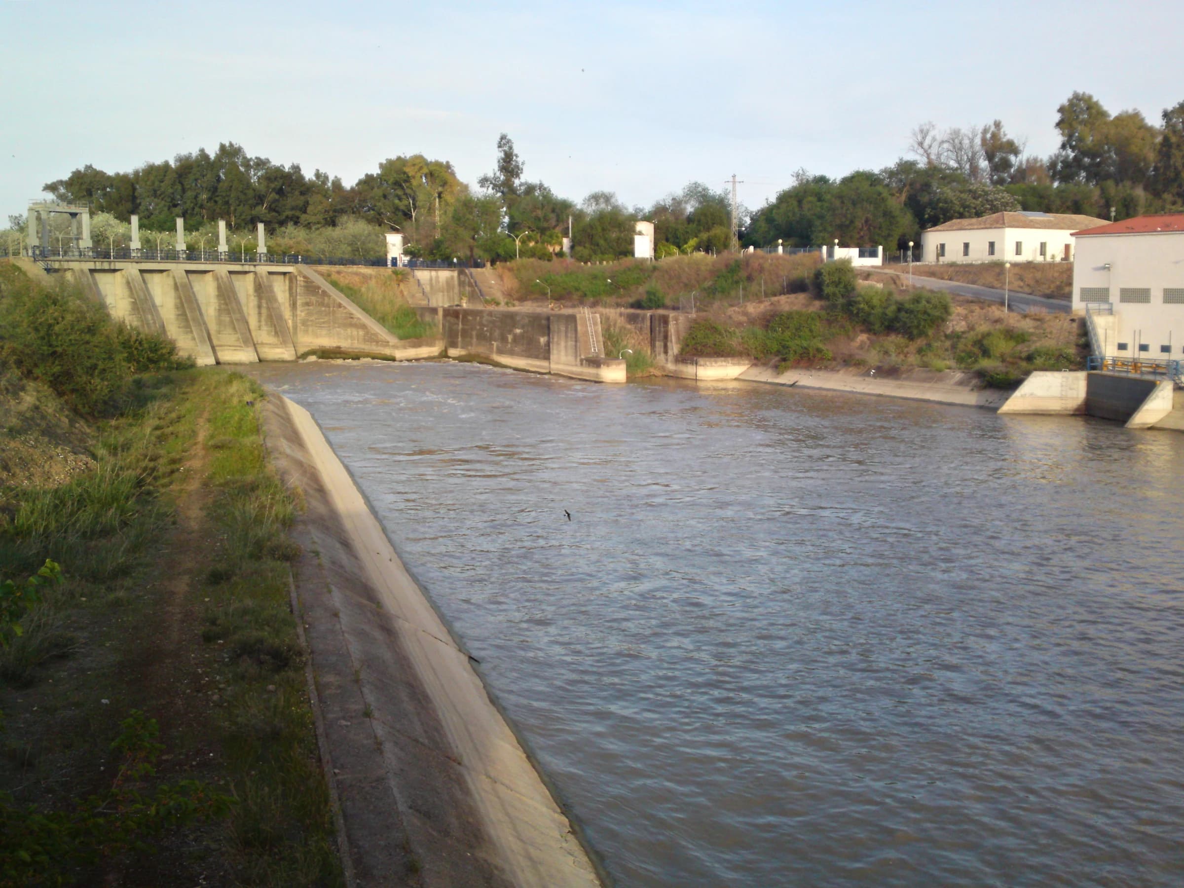 Palma del Río