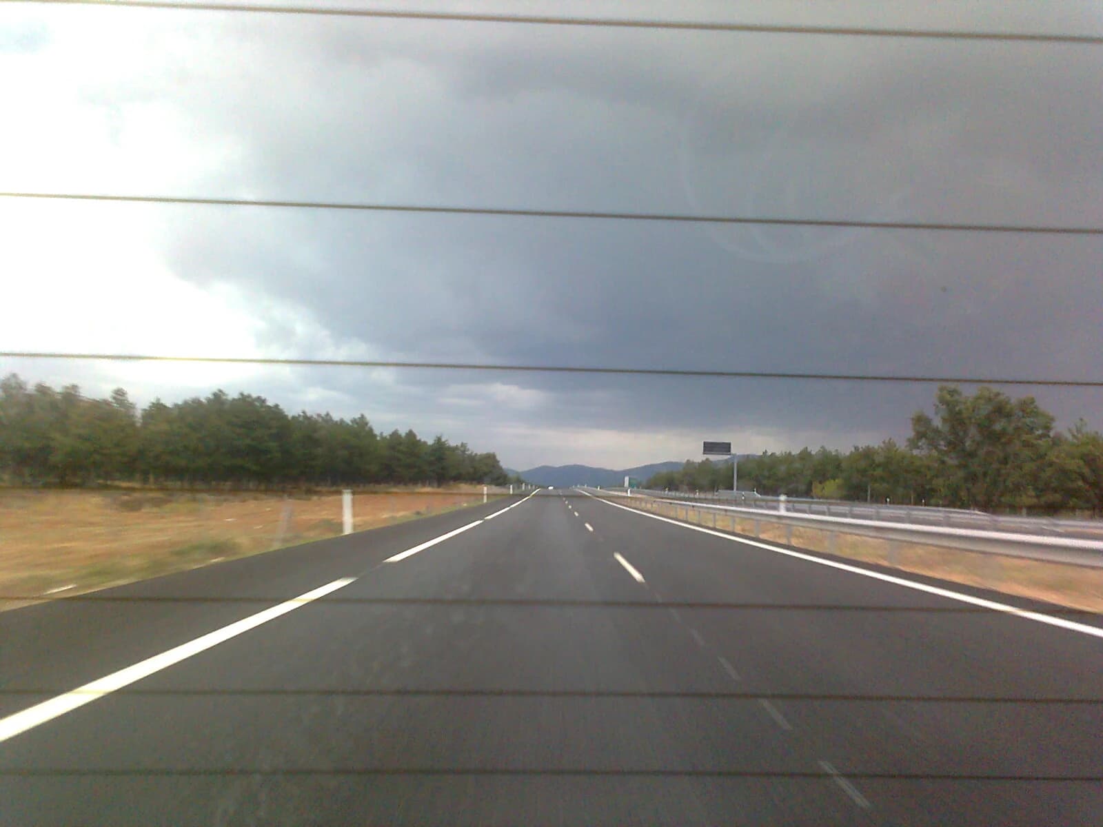 Alovera