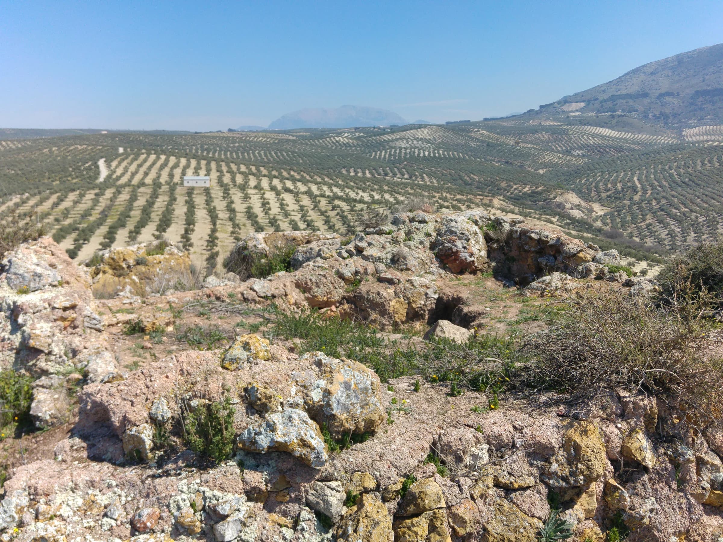 Mancha Real