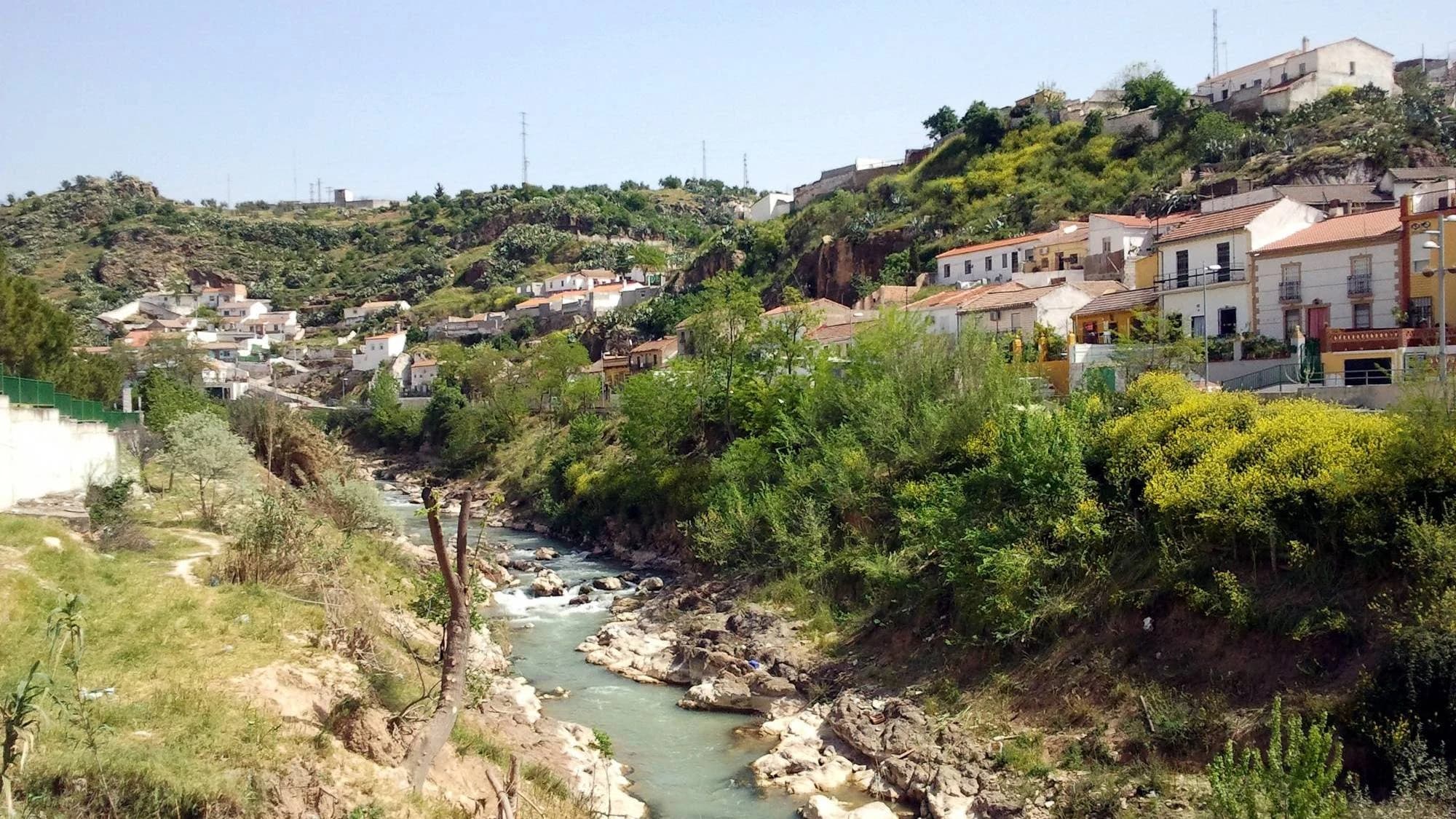 Pinos Puente