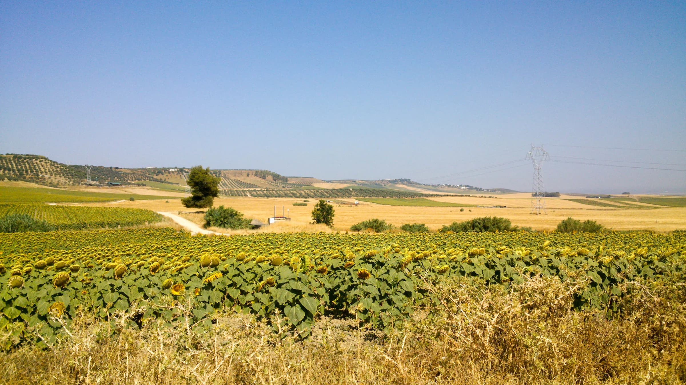 Valencina de la Concepción