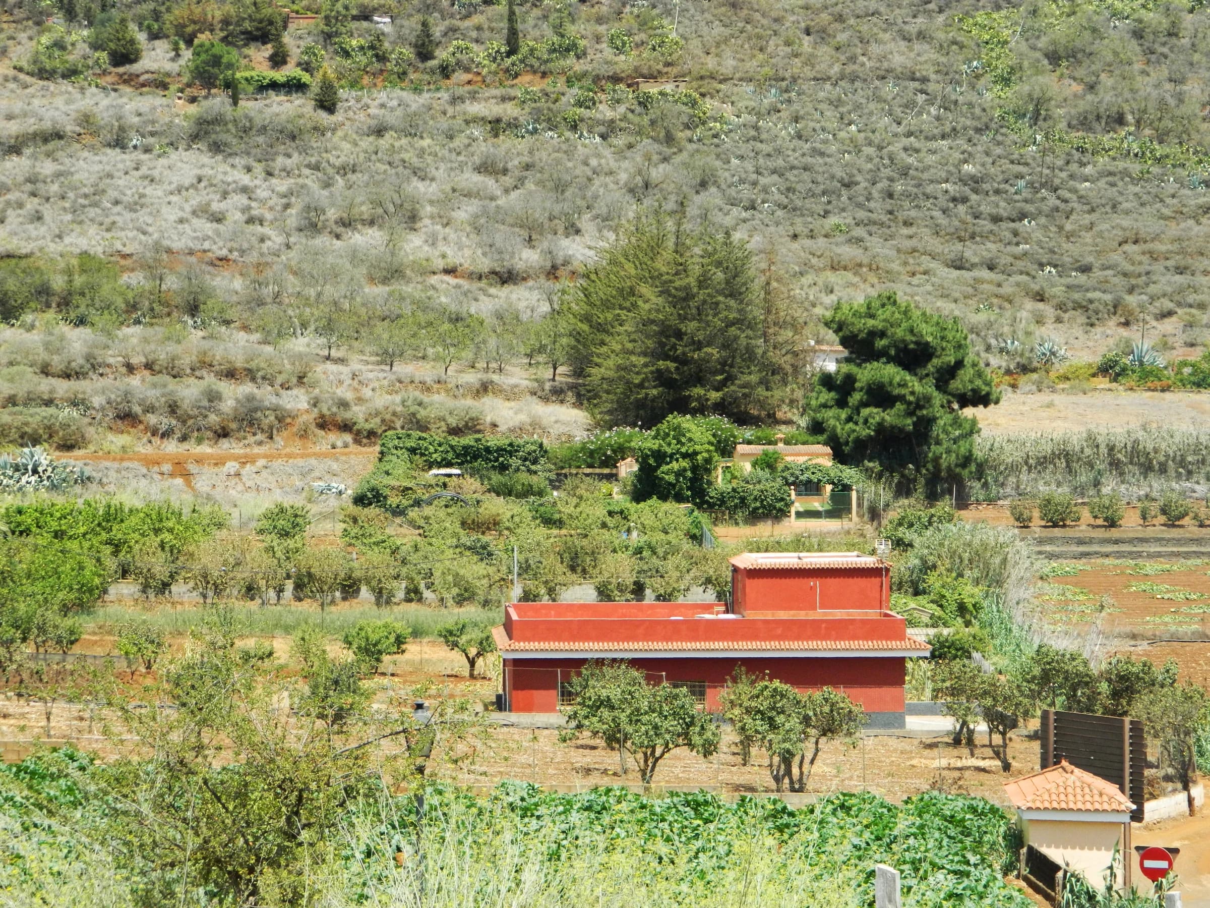 Vega de San Mateo
