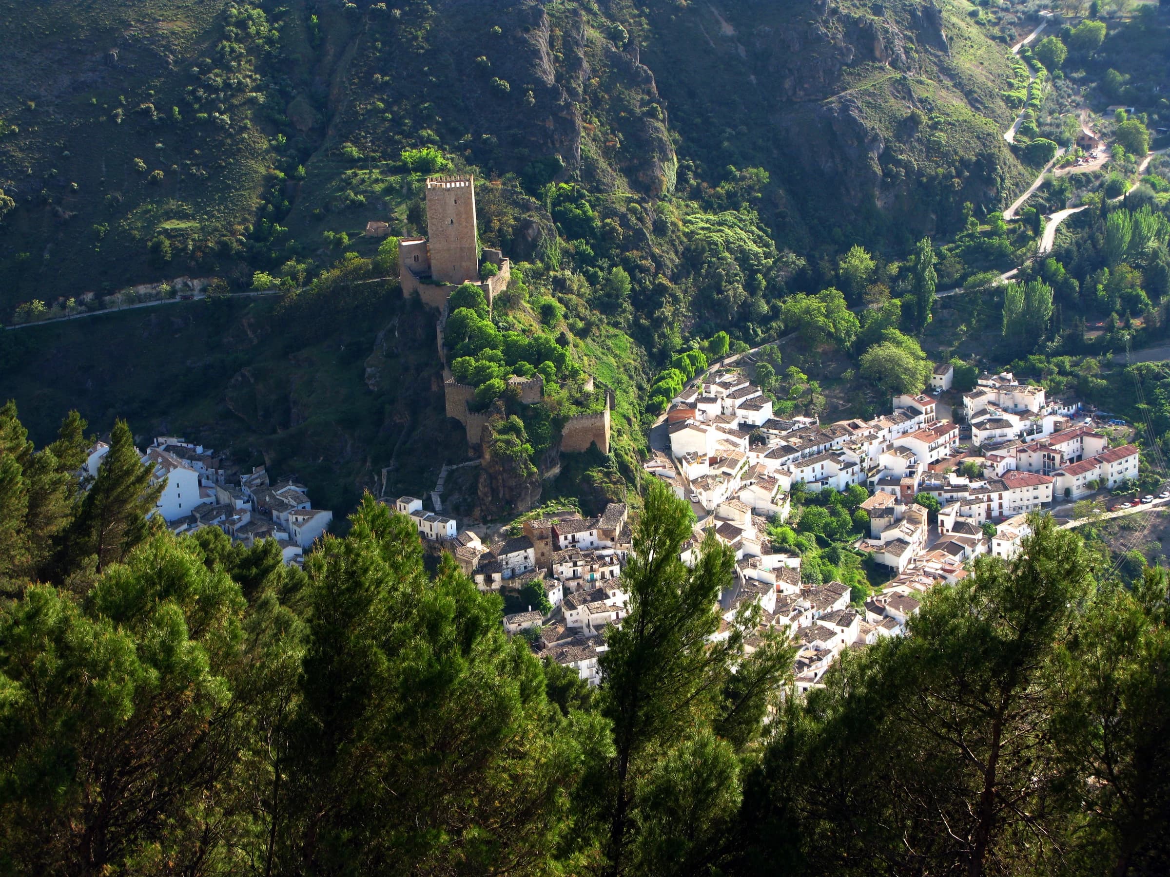Cazorla