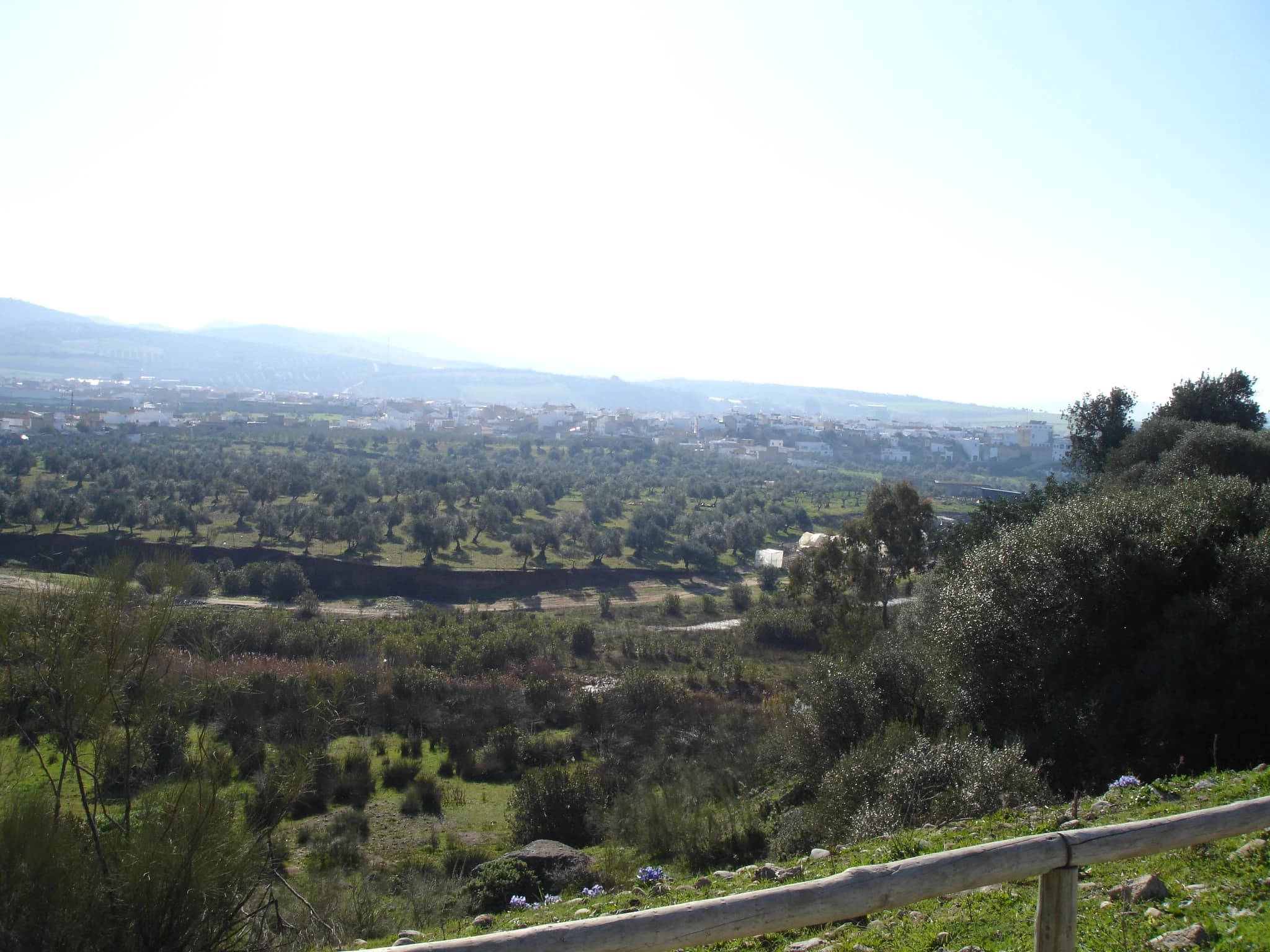 Puerto Serrano