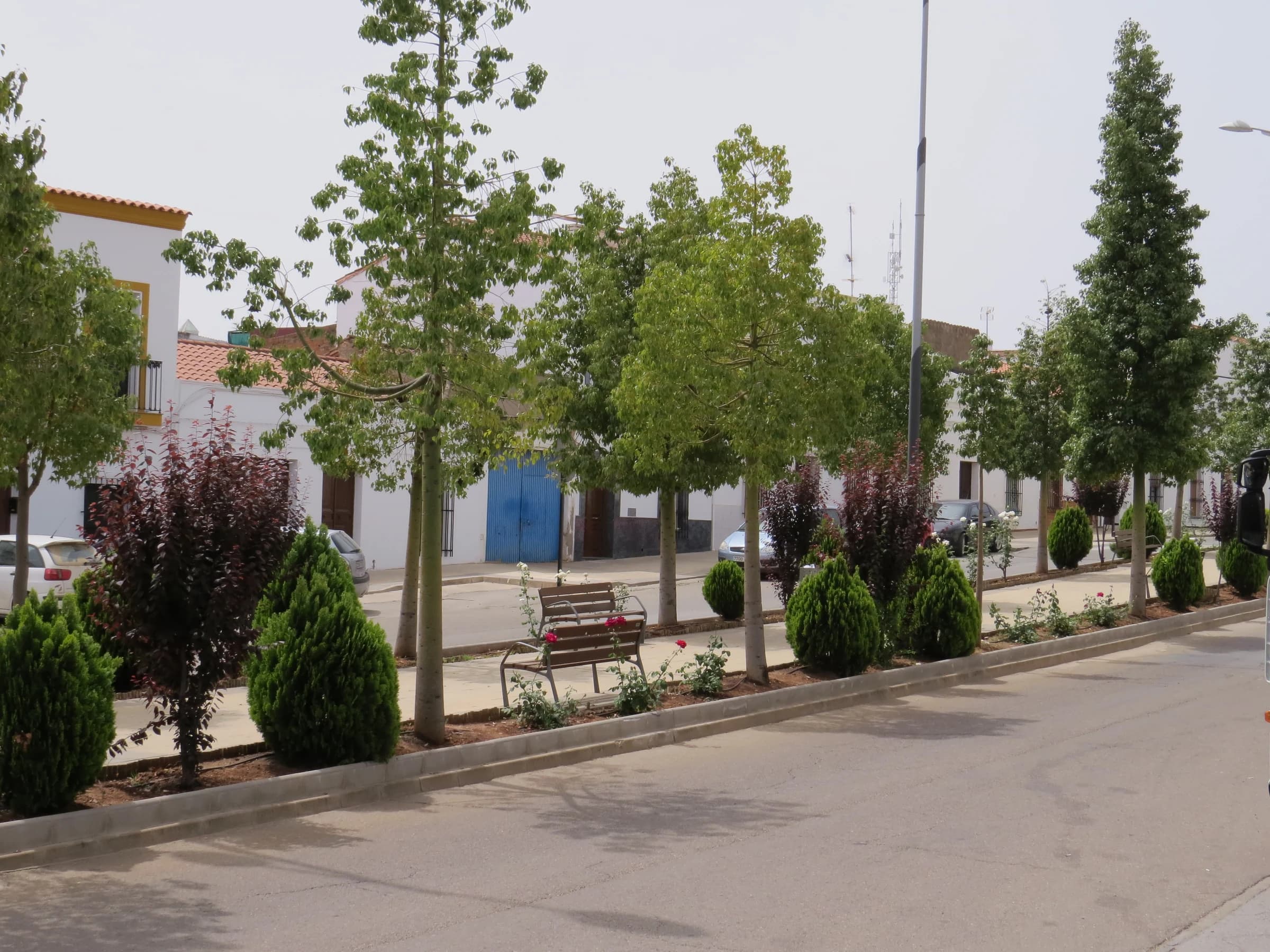 Fuente del Maestre