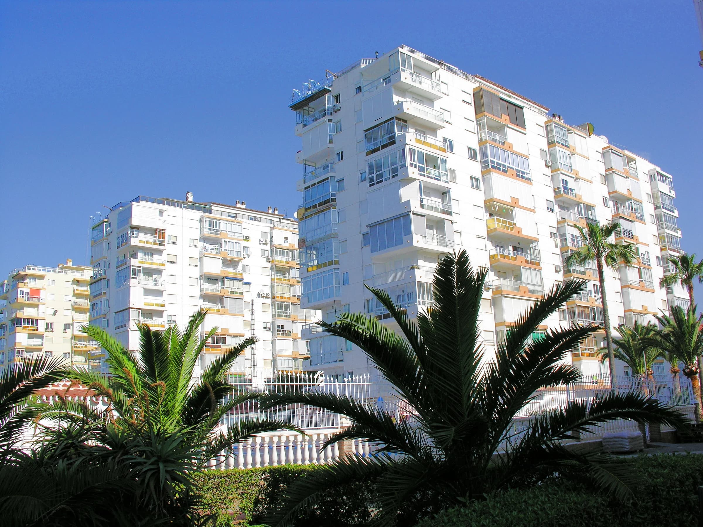 Algarrobo