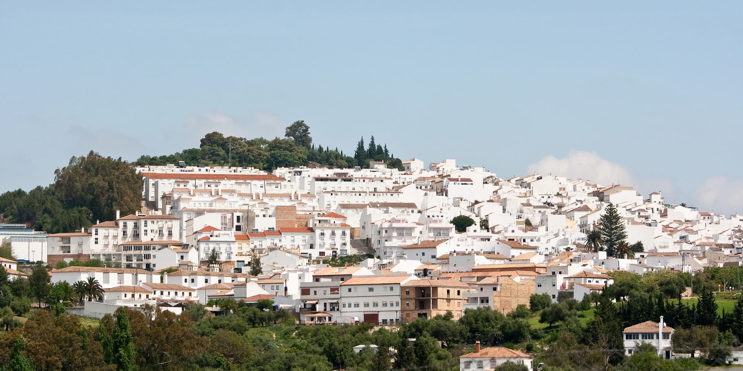 Prado del Rey
