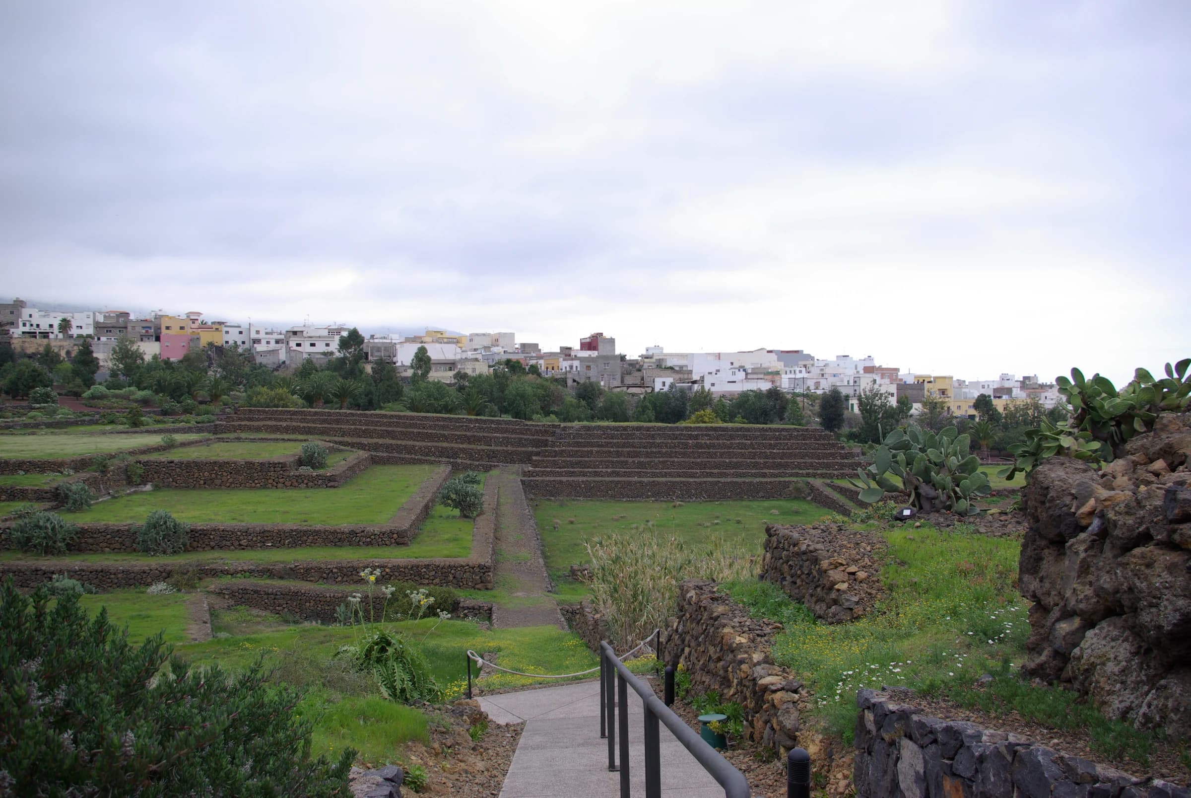 Arafo