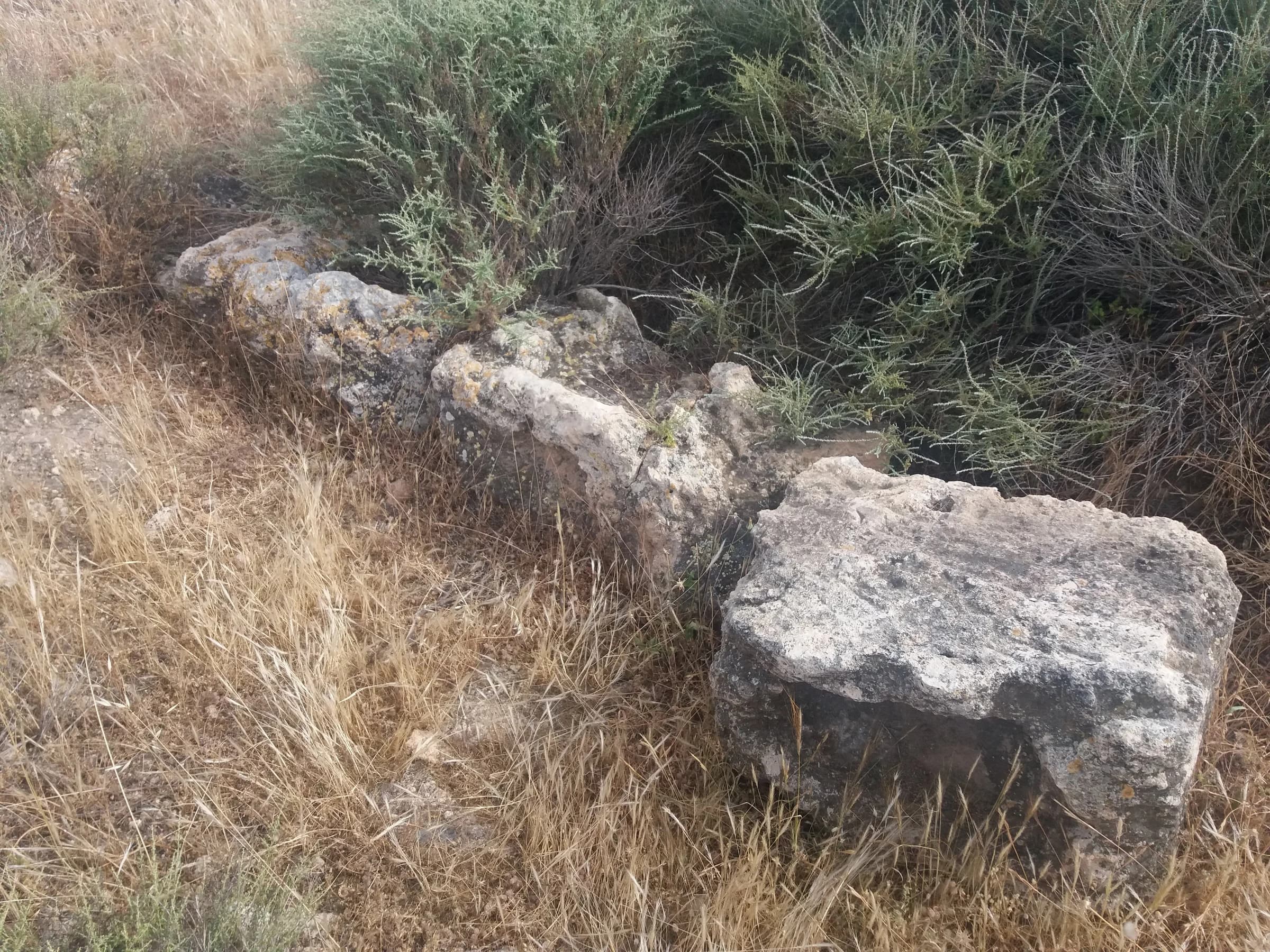 Dalías