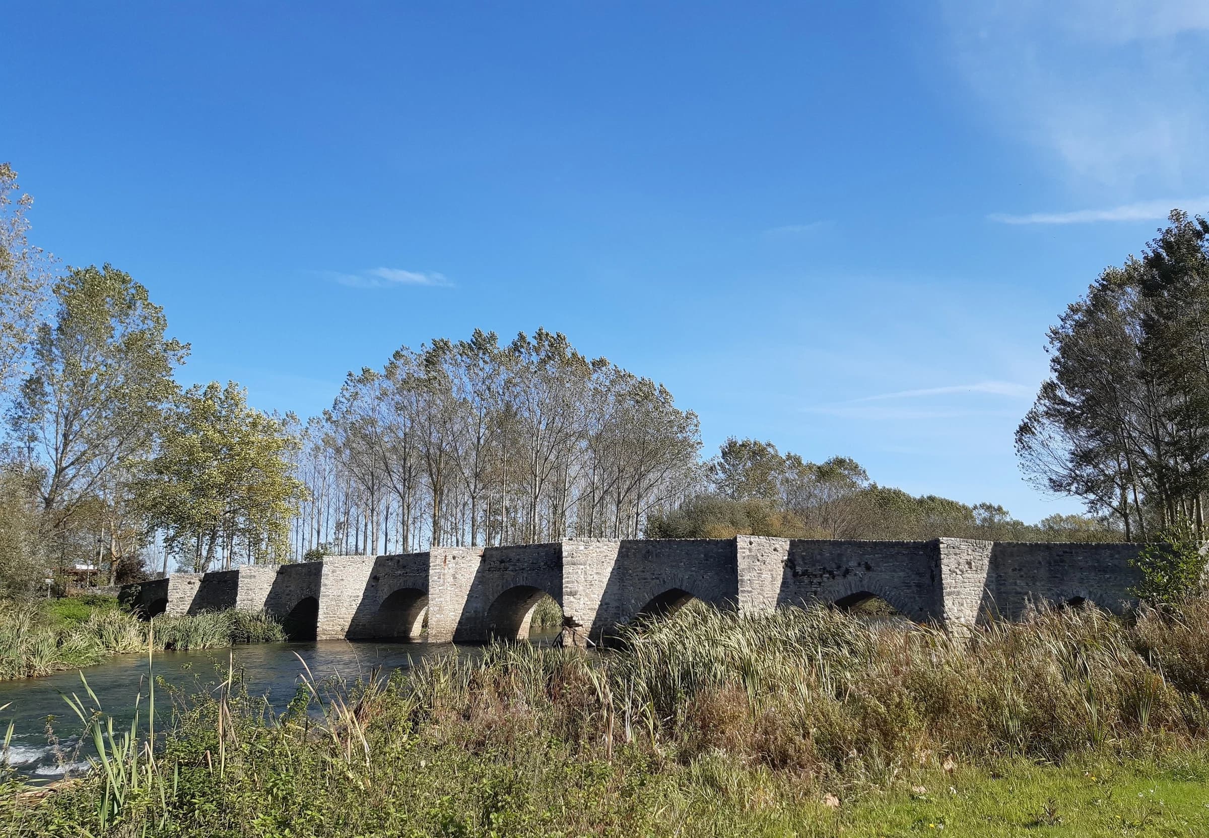 Iruña Oka/Iruña de Oca