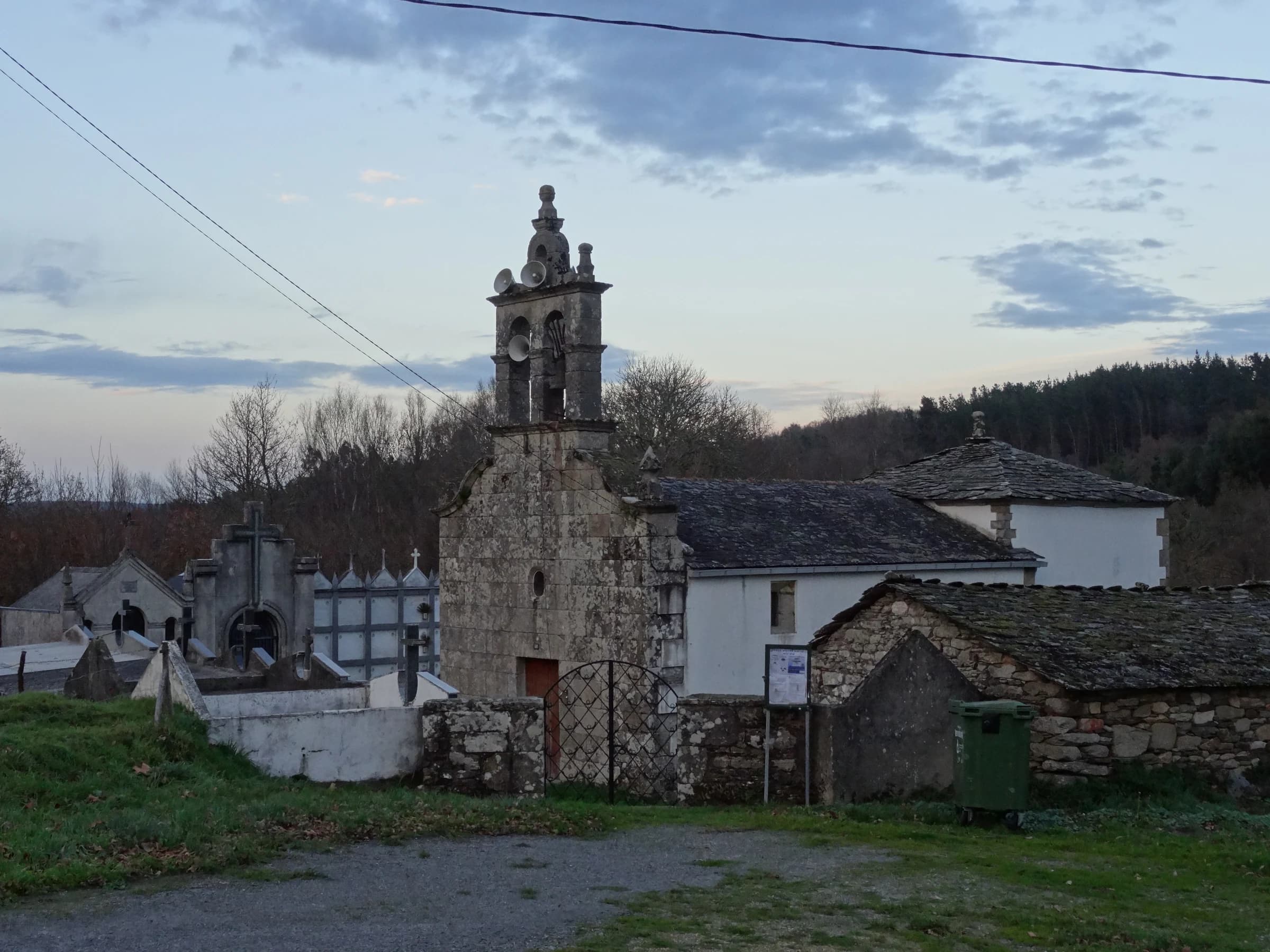 Begonte