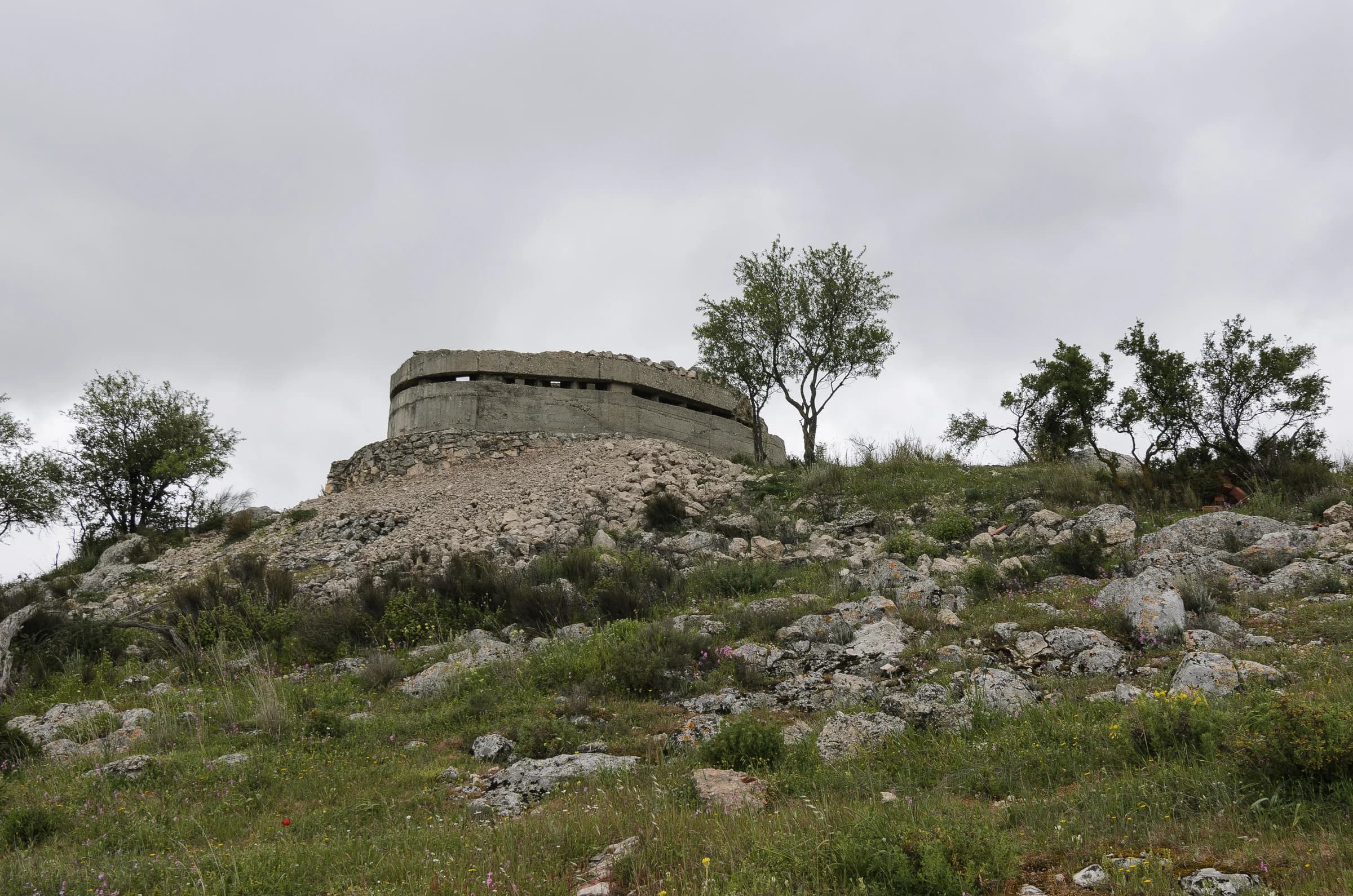 Luque