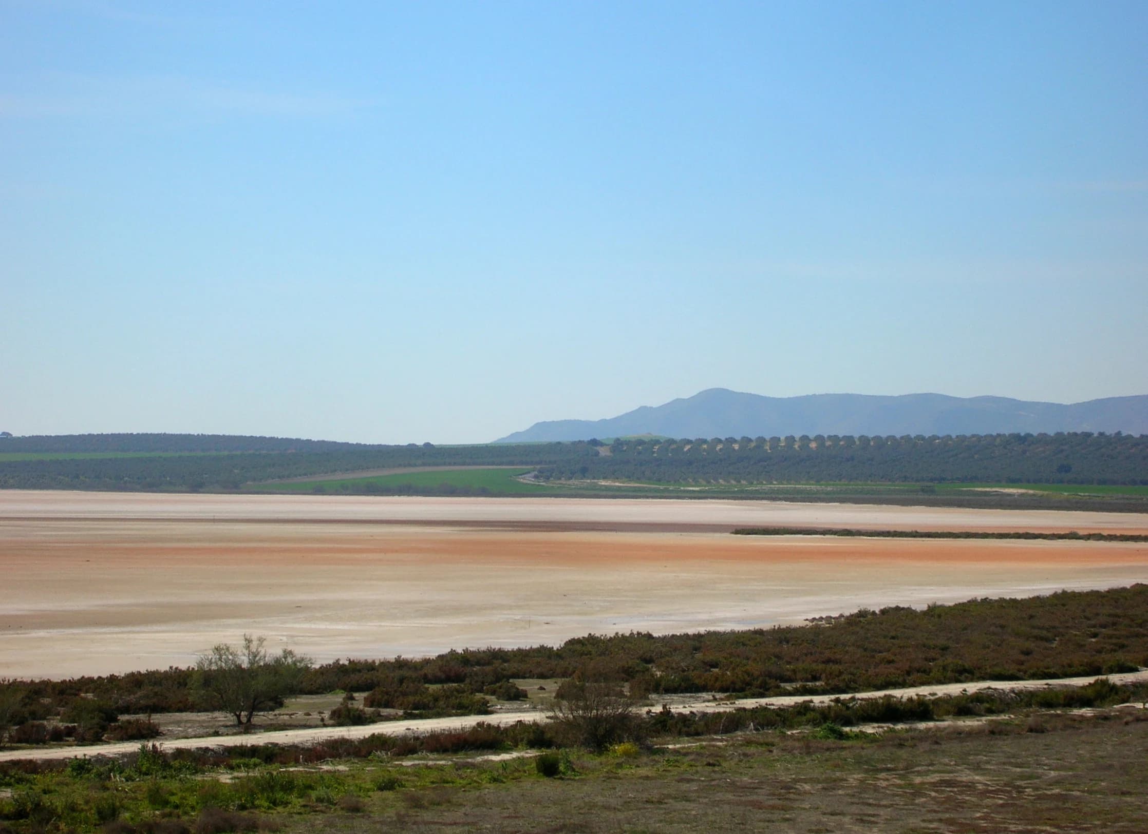 Fuente de Piedra