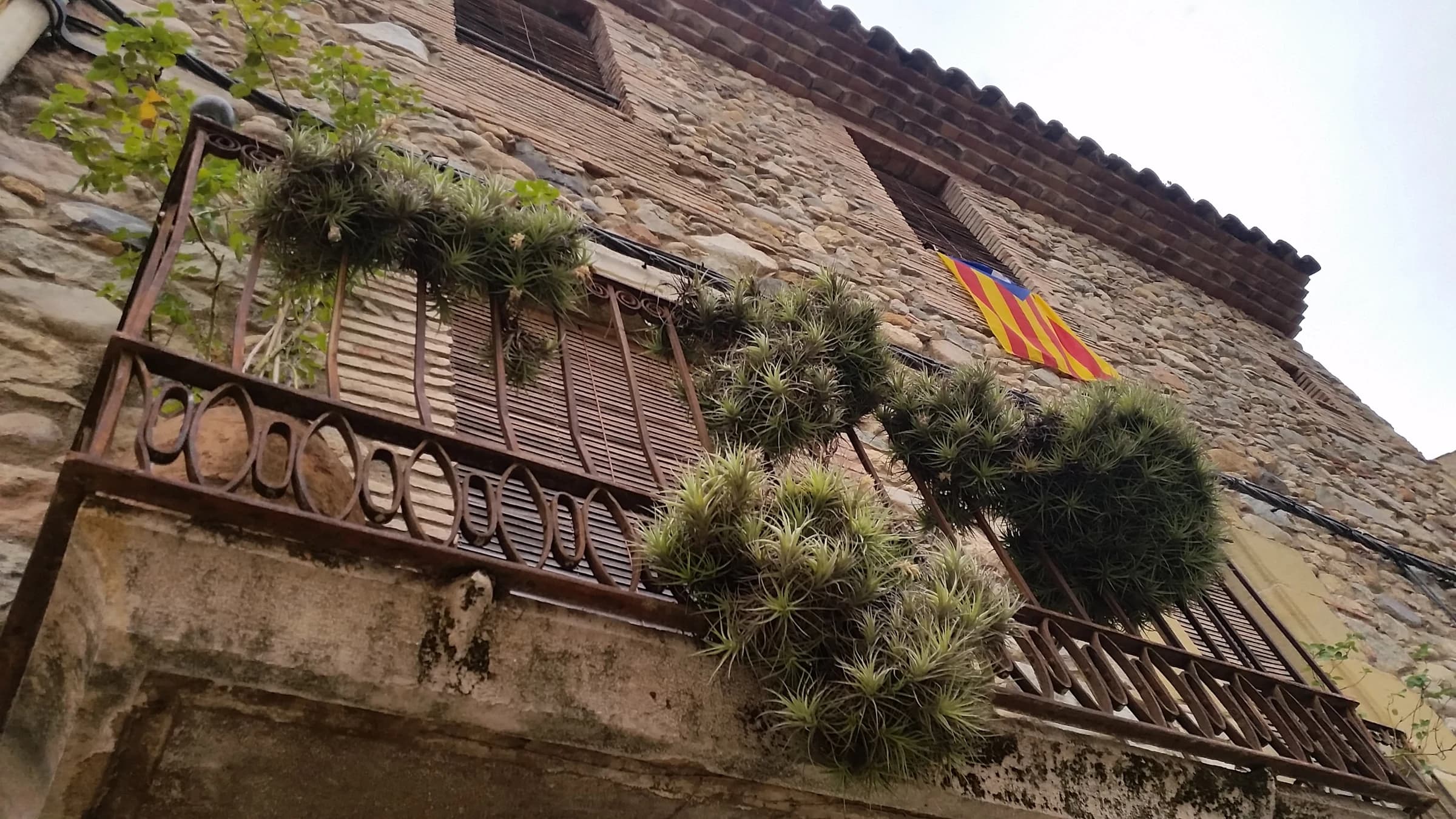 Cellera de Ter, La