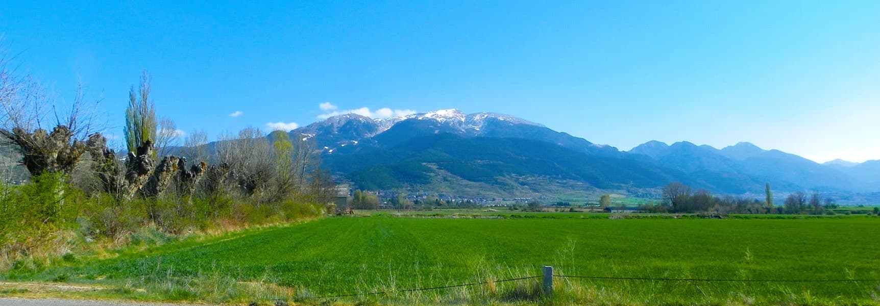 Alp