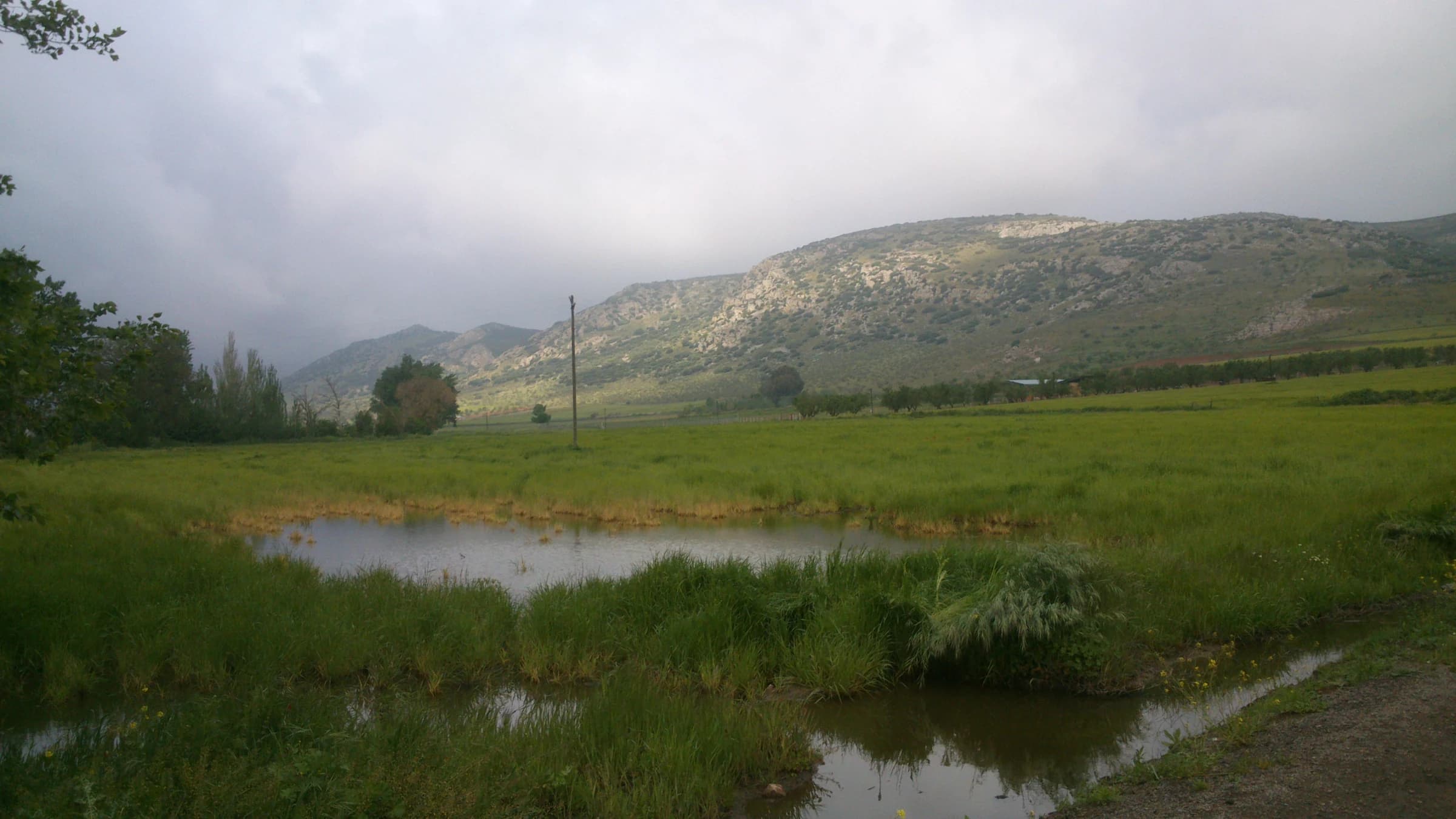 Aldea del Rey