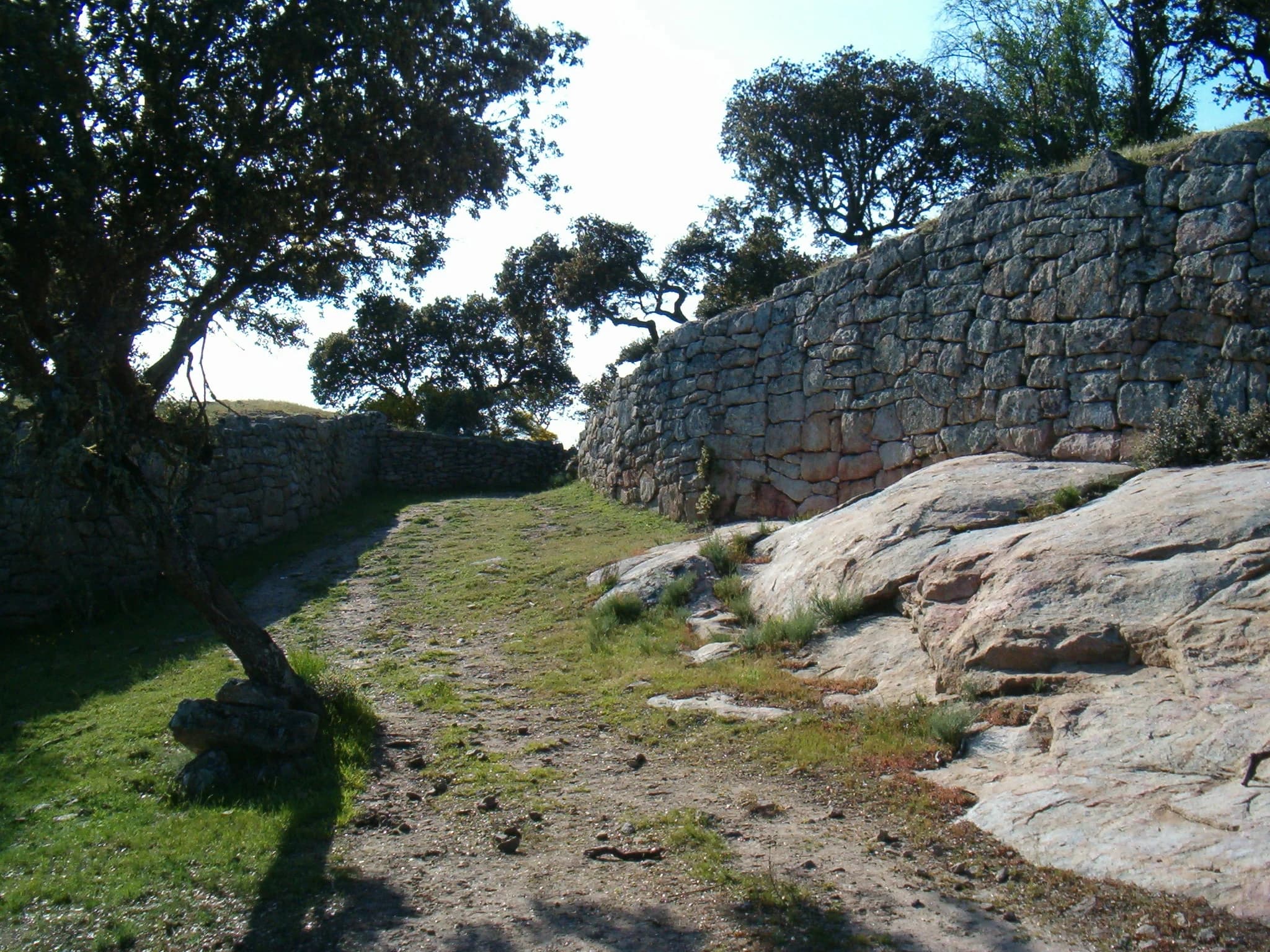 Lumbrales