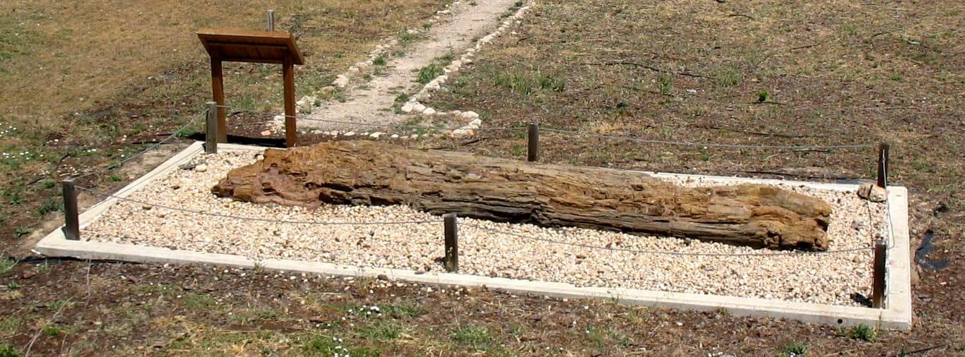 Landete