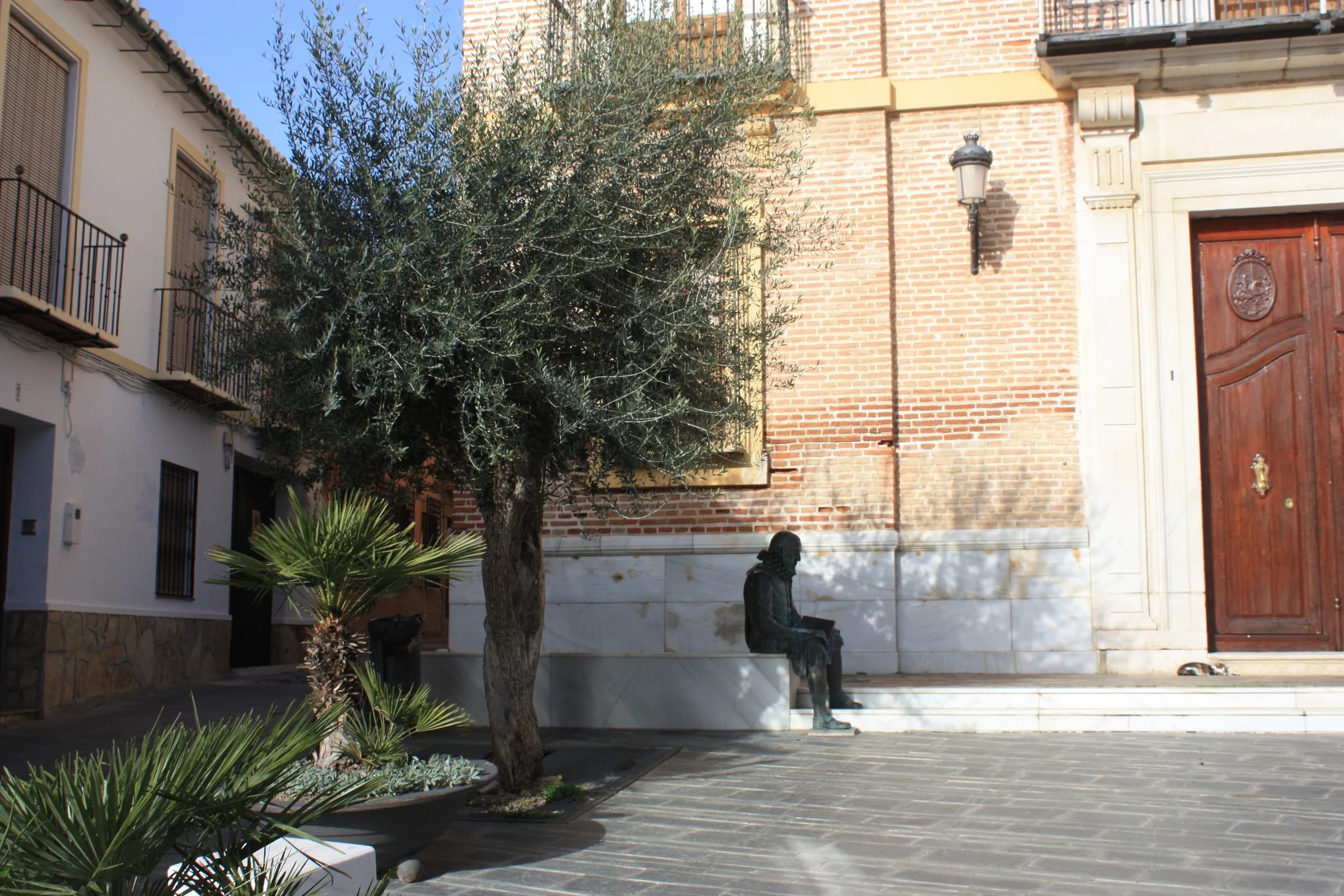 Arenas