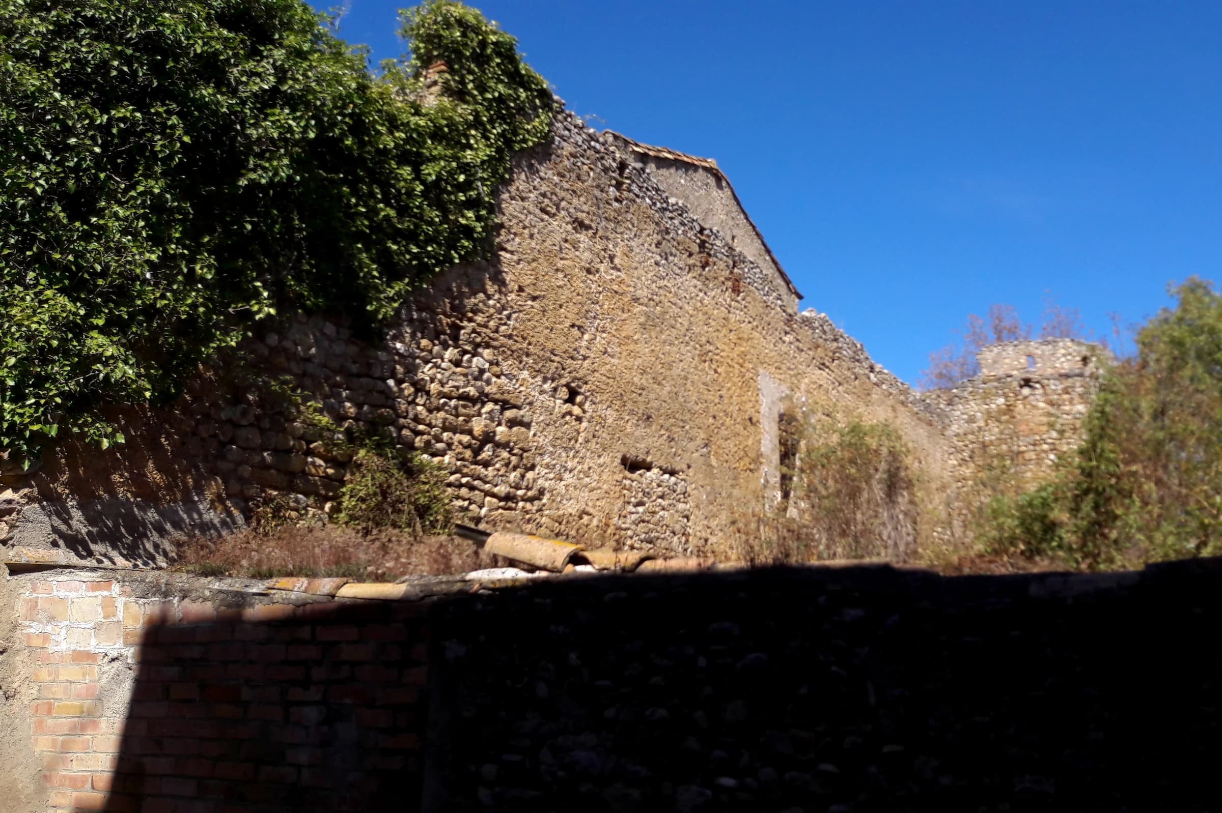 Bàscara