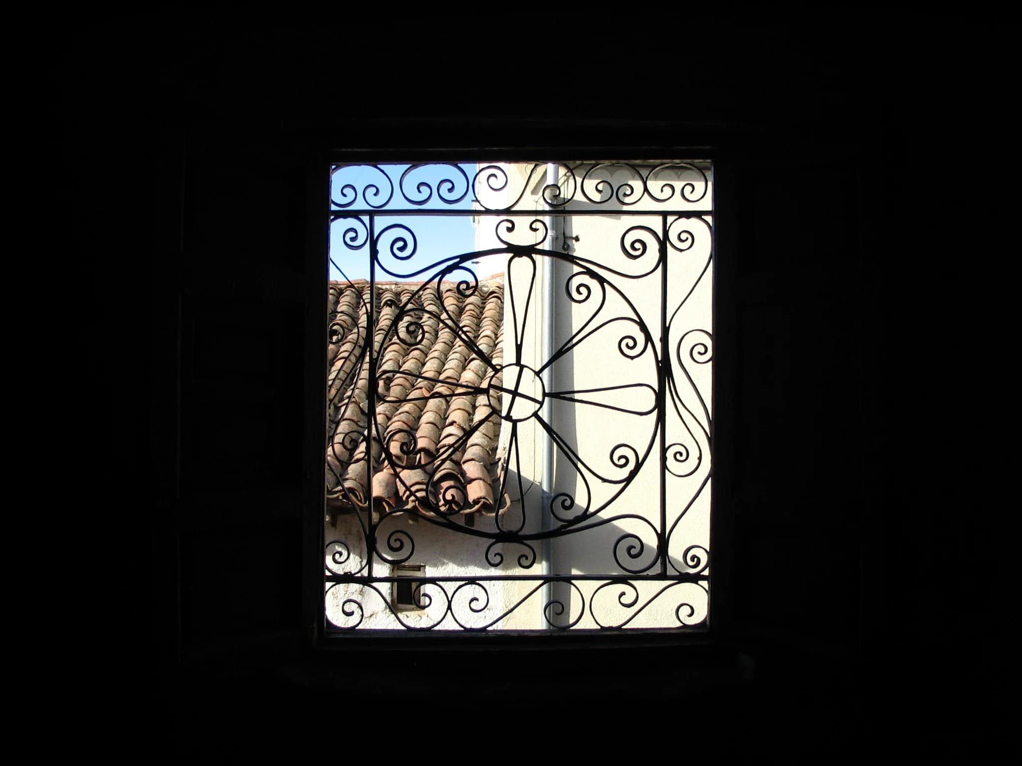 Macotera