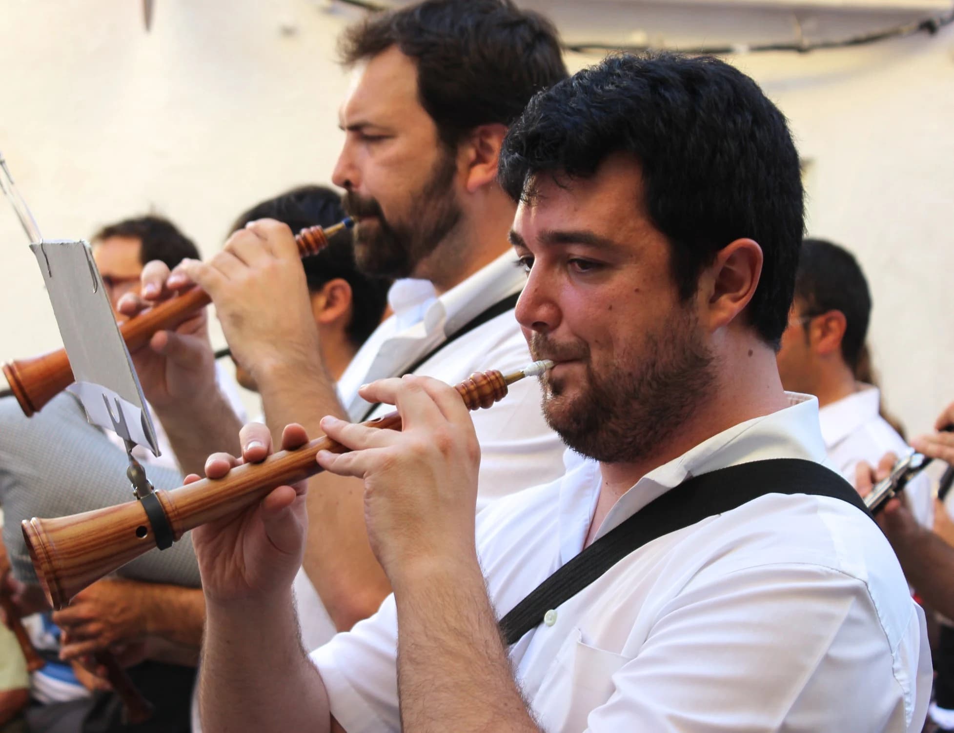 Fontanars dels Alforins