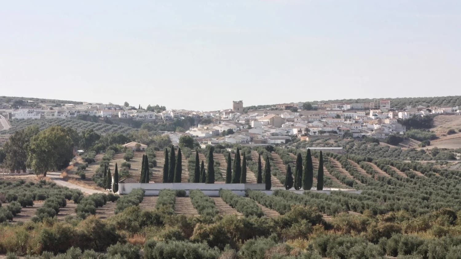 Higuera de Calatrava
