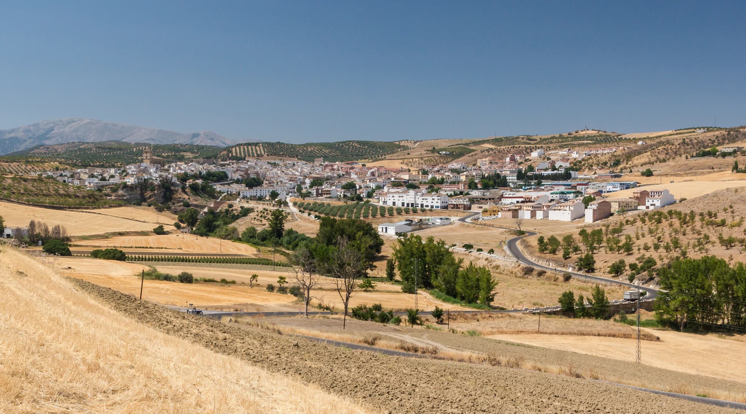 Santa Cruz del Comercio