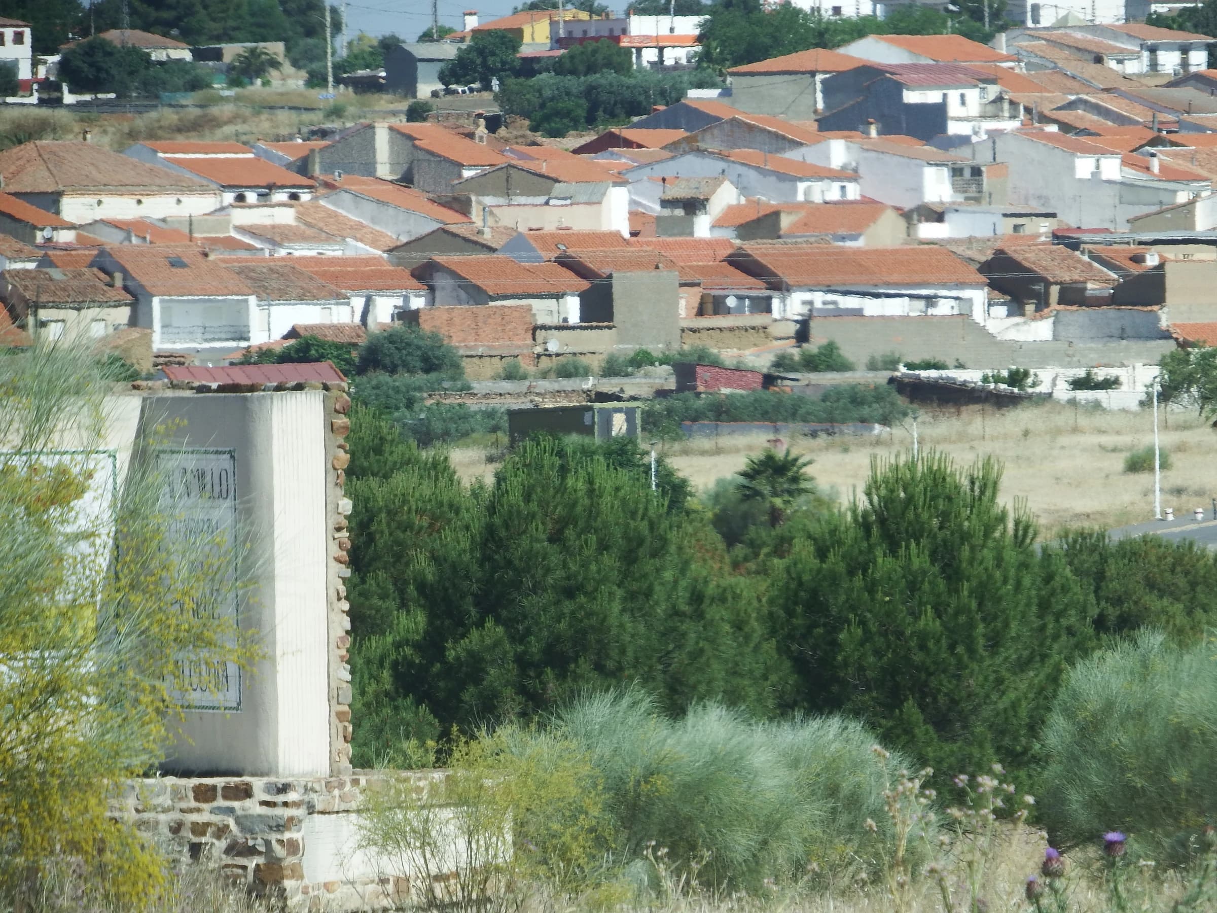 Alamillo