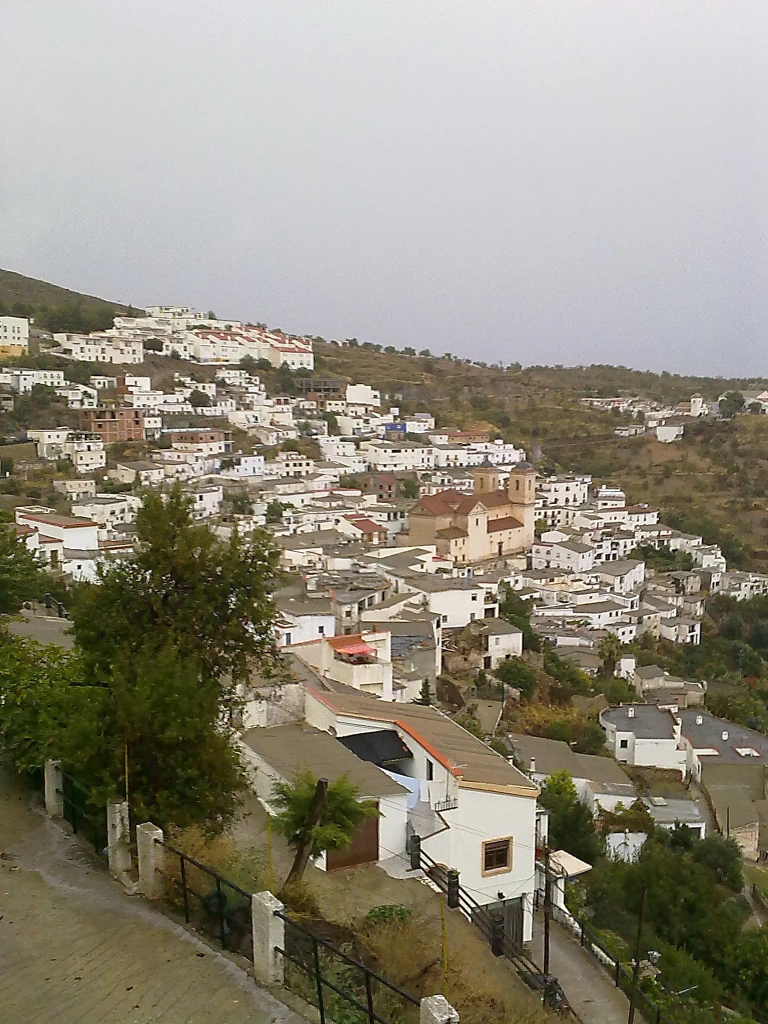 Murtas