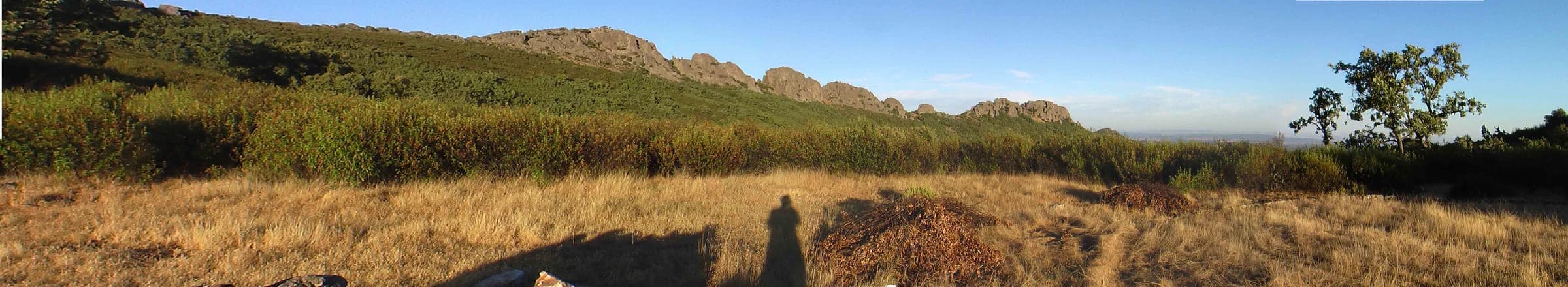 Berzocana