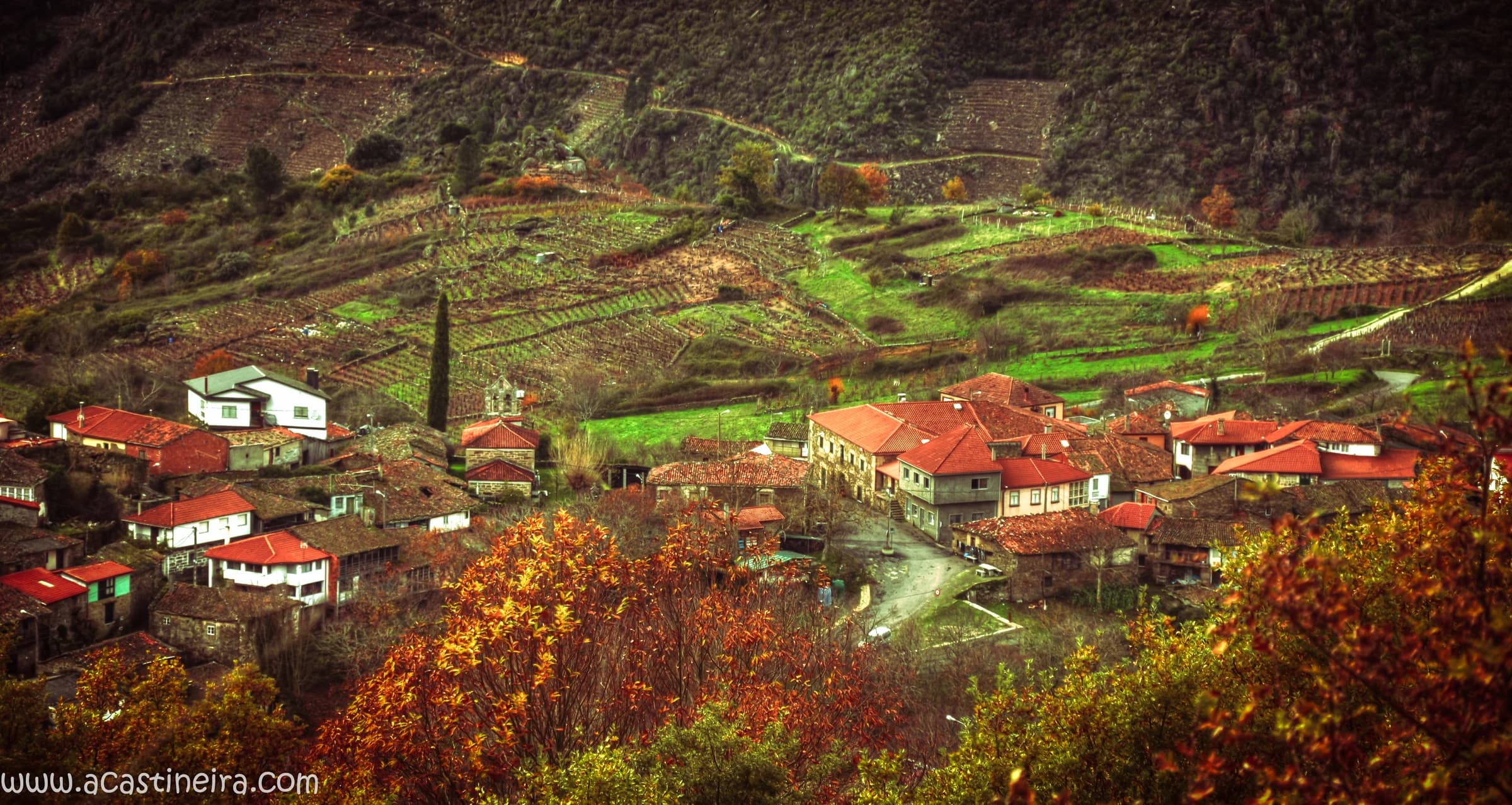 Teixeira, A