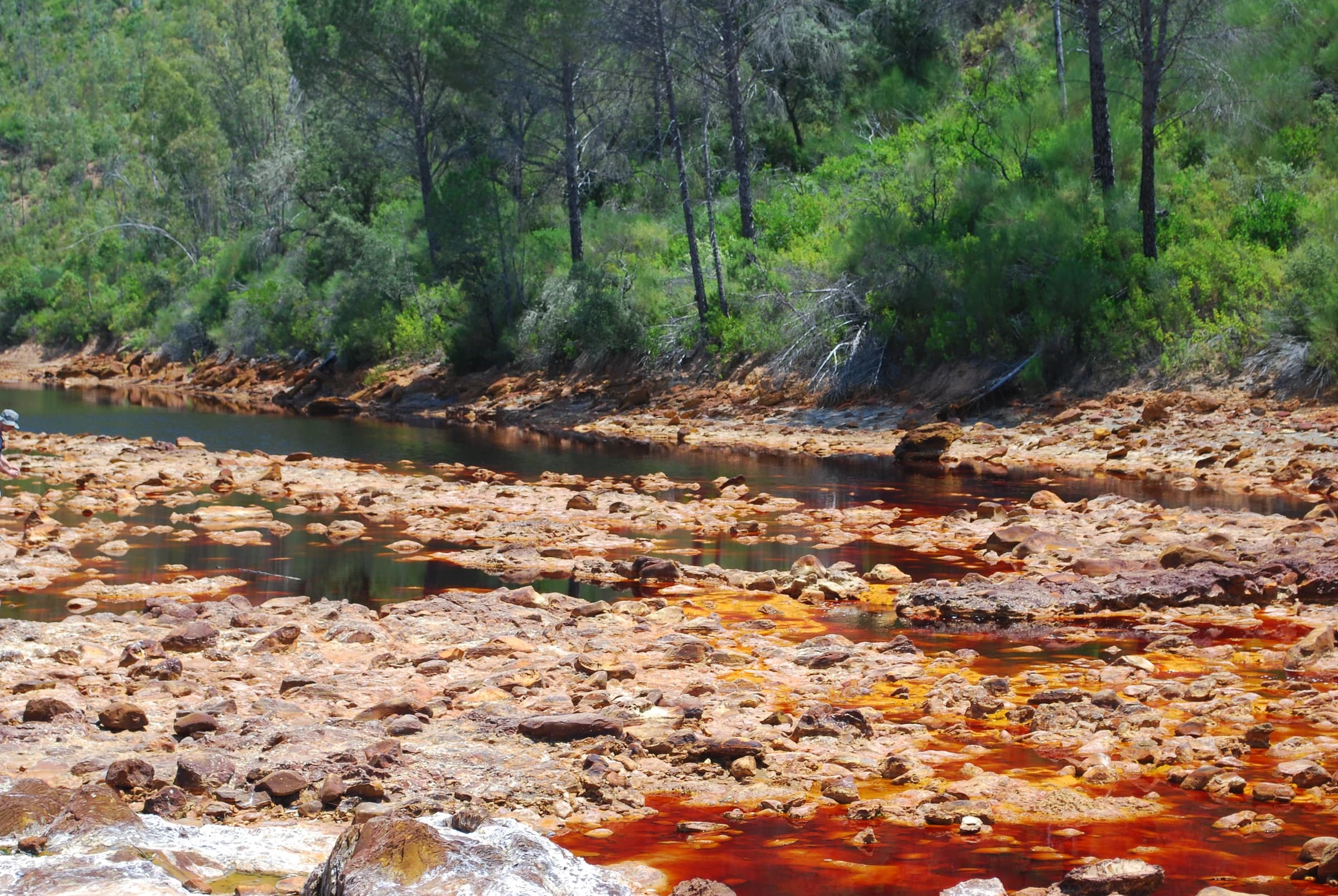 Berrocal