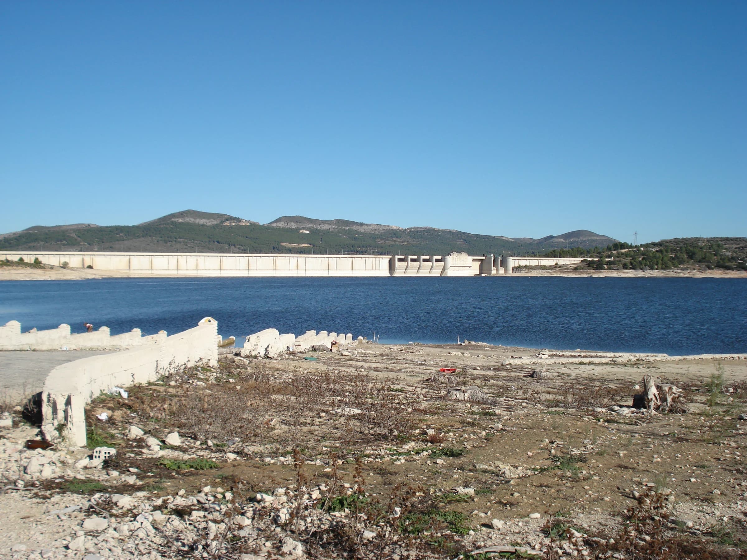 Bellús