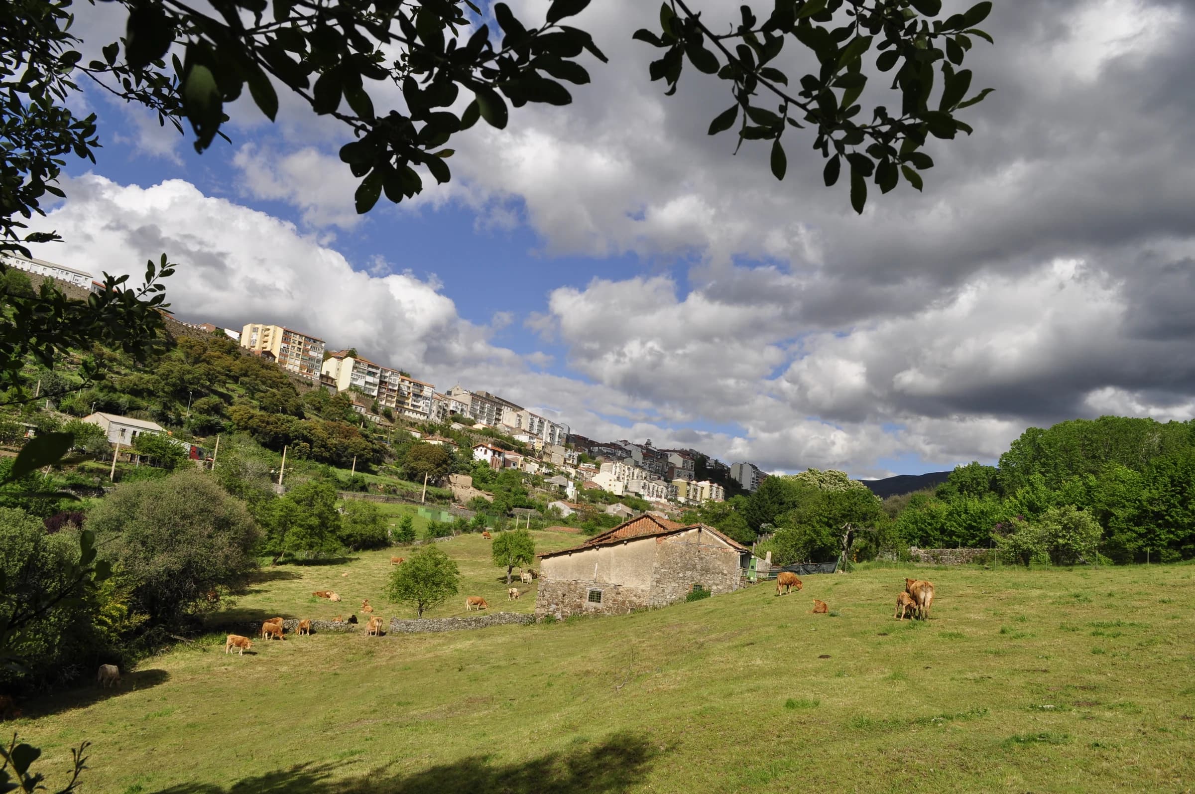 Cantagallo