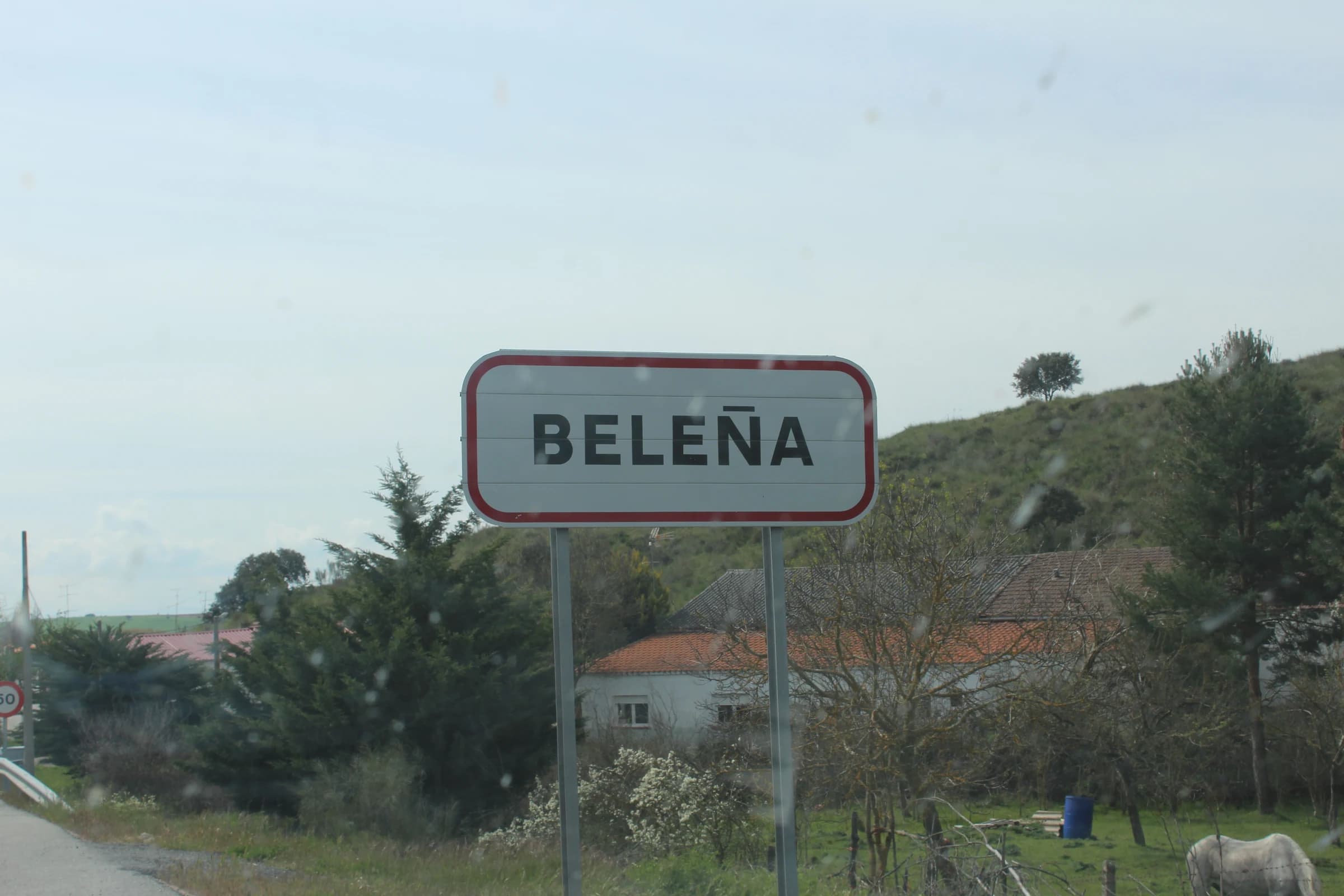 Beleña