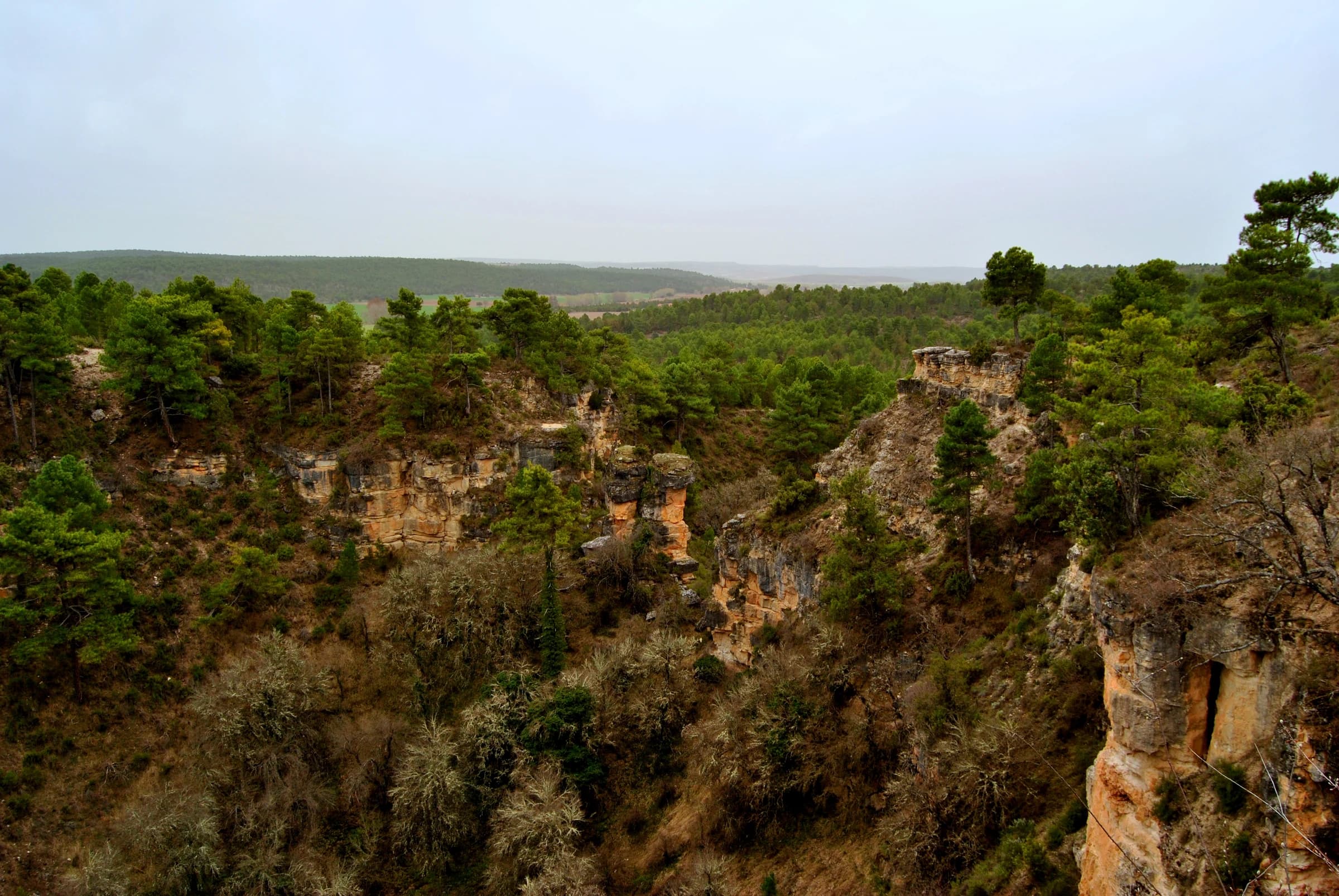 Cañada del Hoyo