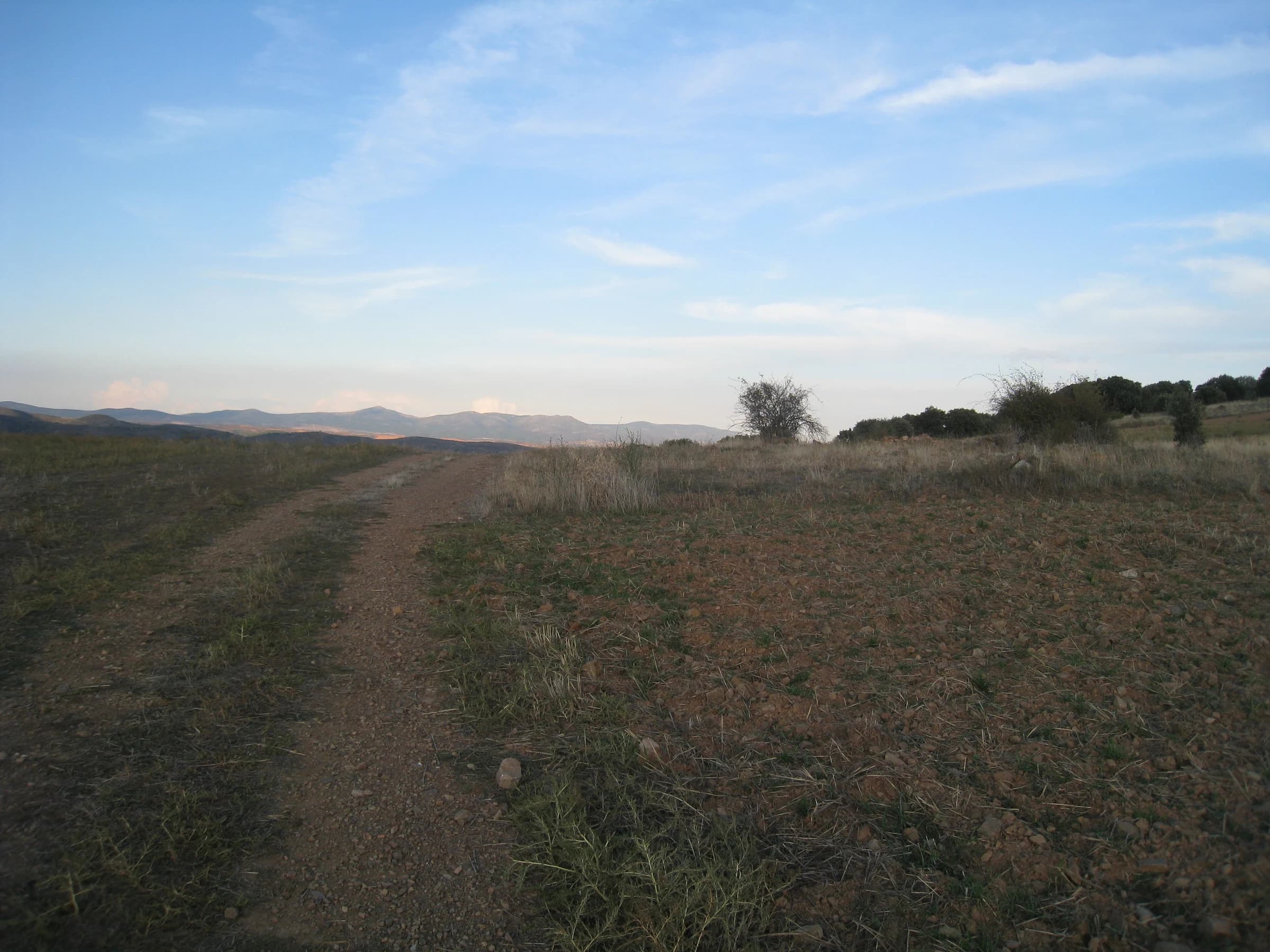 Torrijo de la Cañada