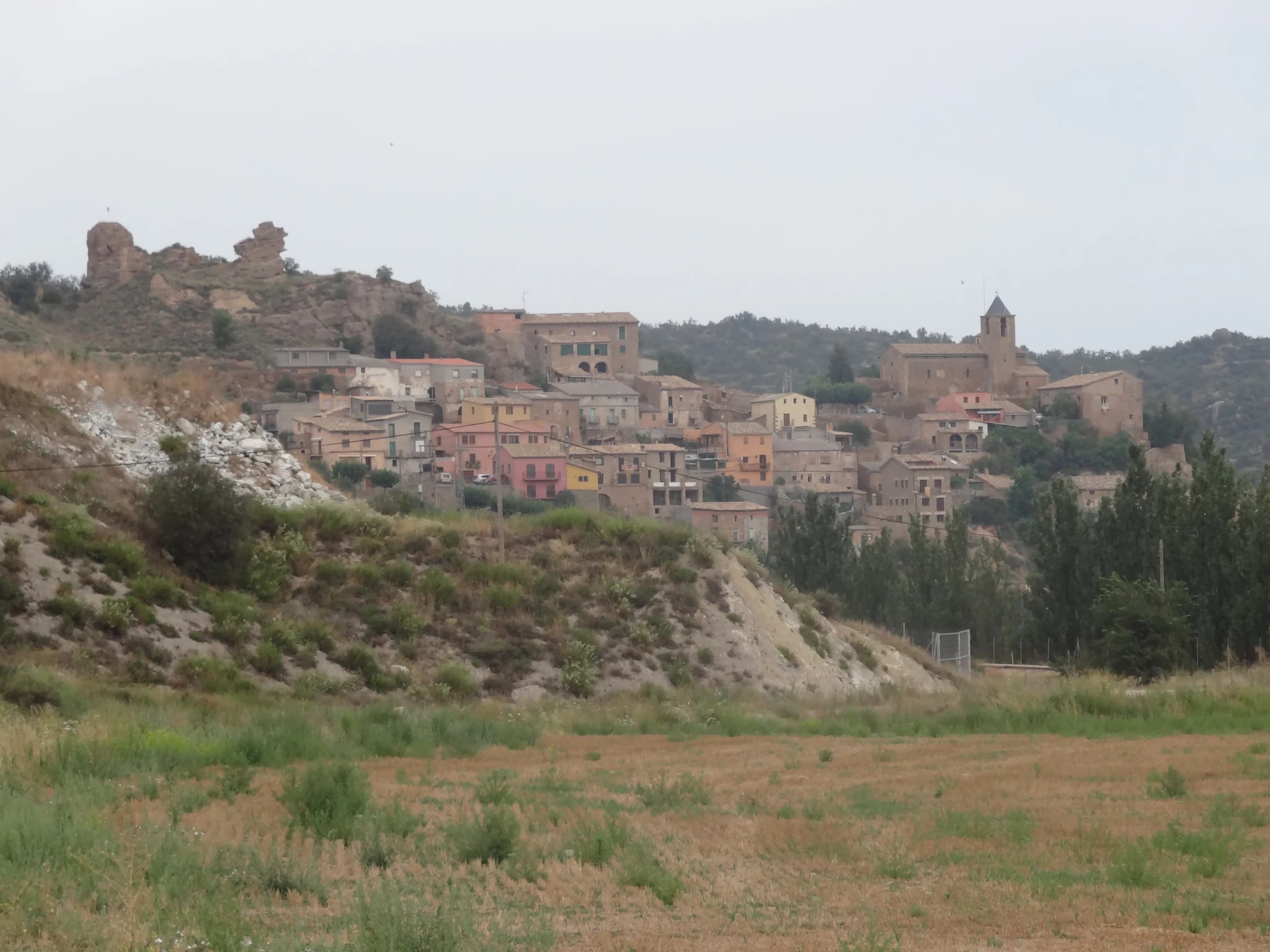 Oliola