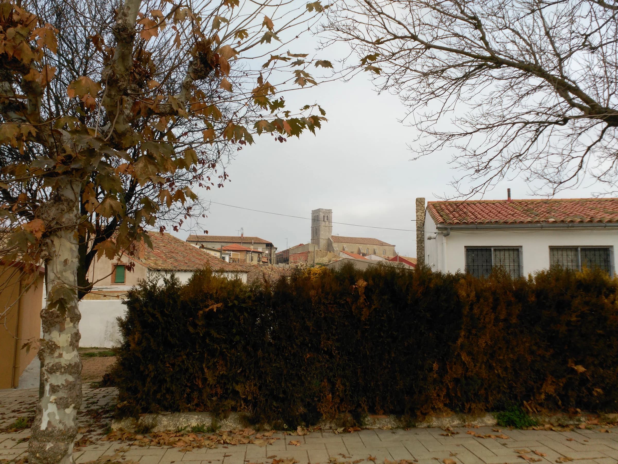 Valdenebro de los Valles