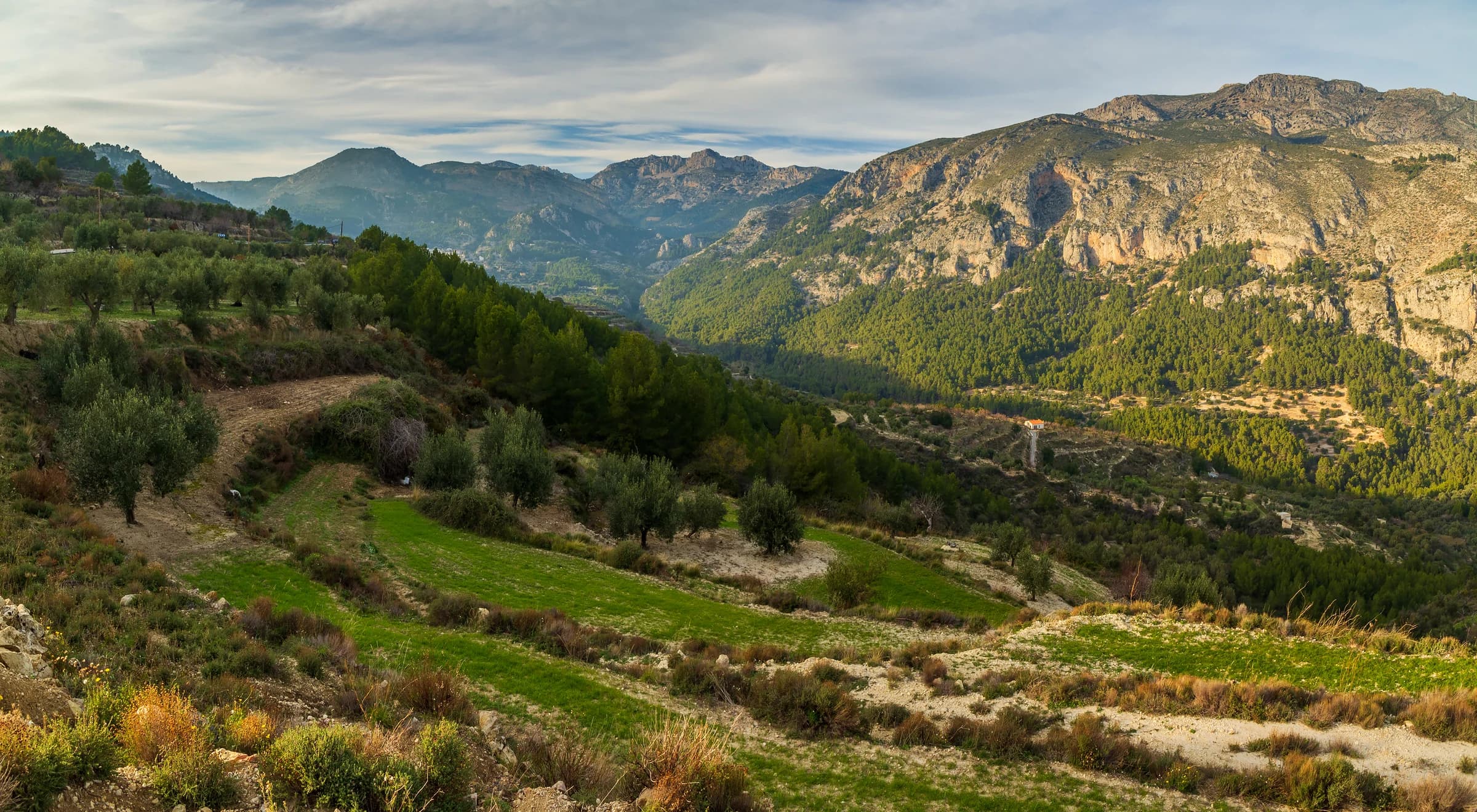 Beniardà