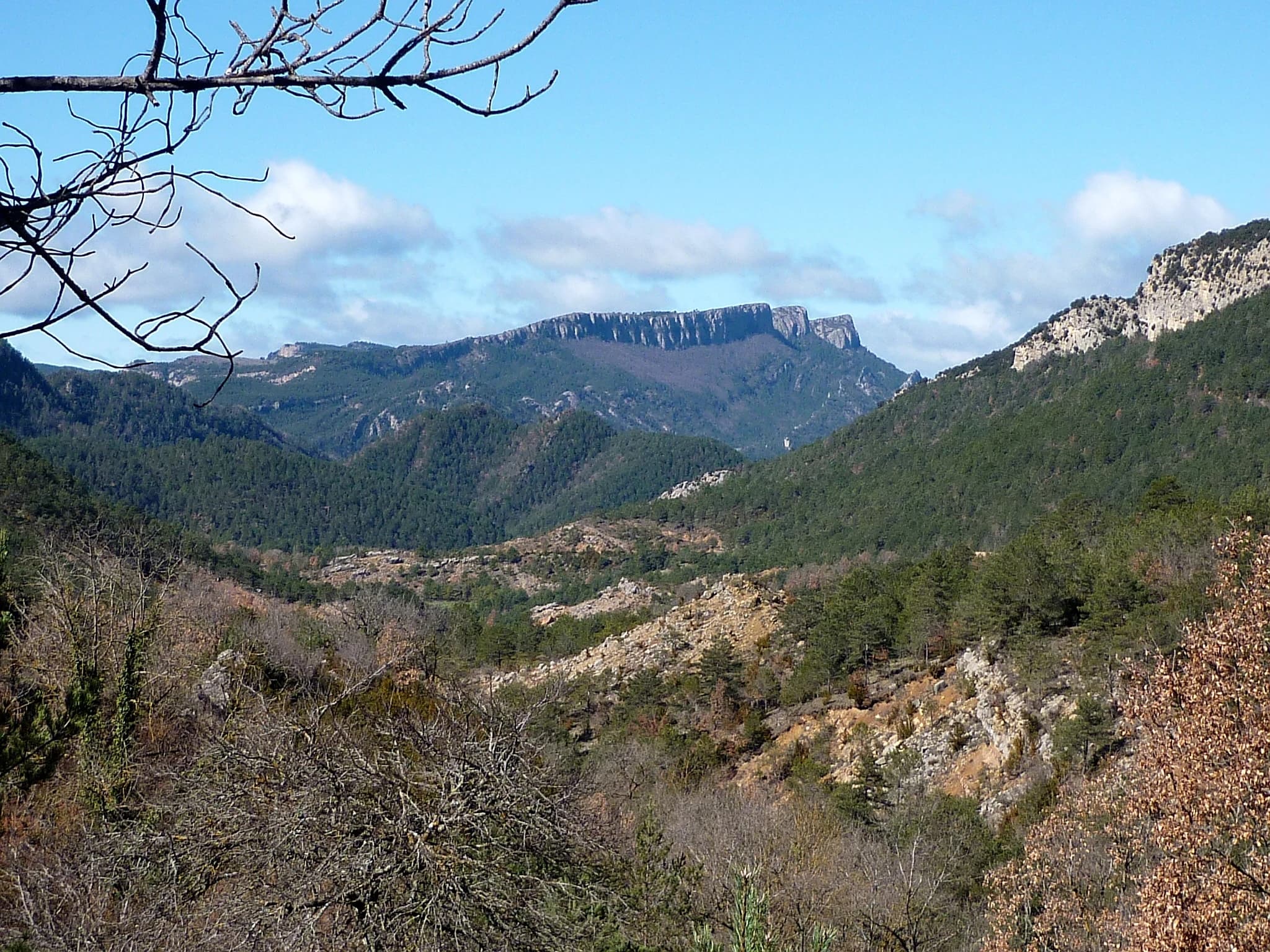 Castellar del Riu