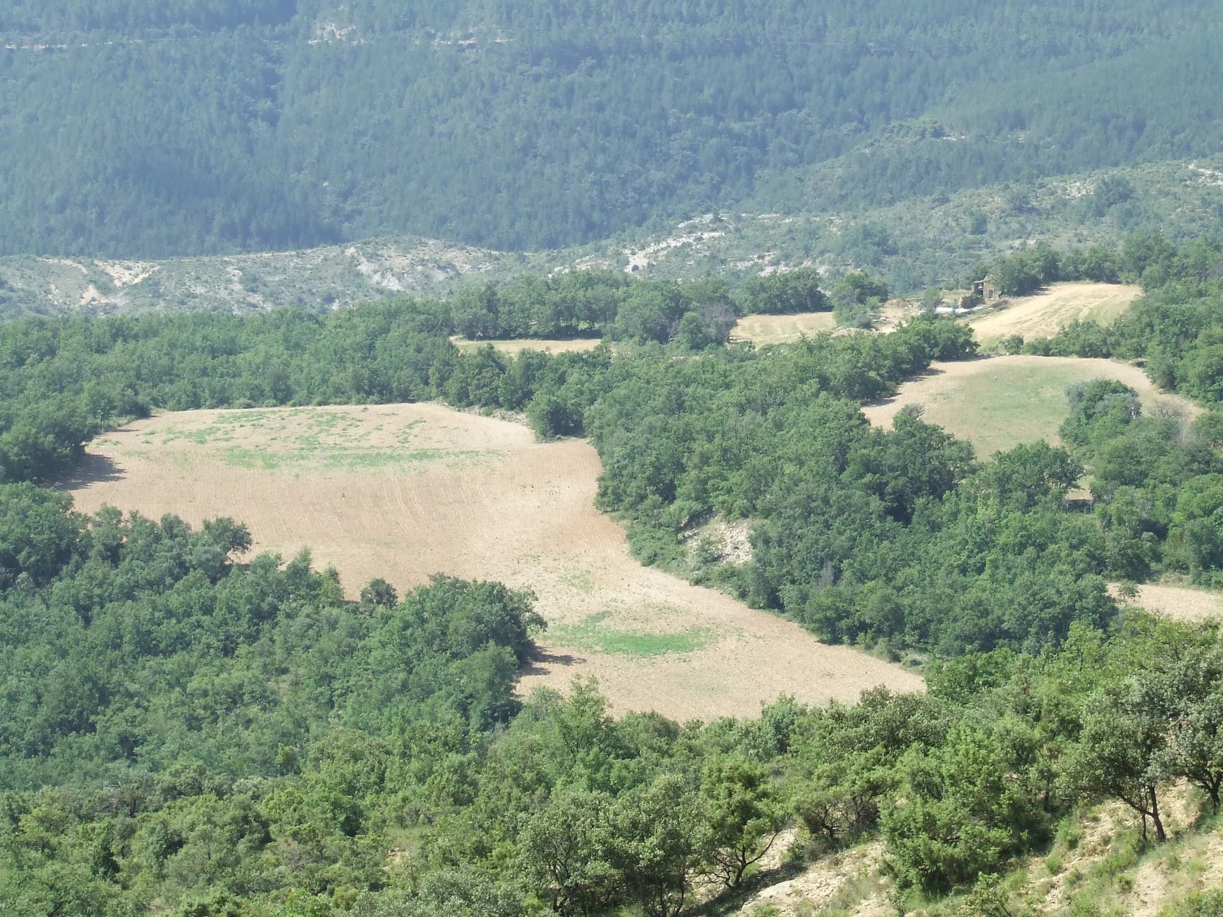 Castell de Mur