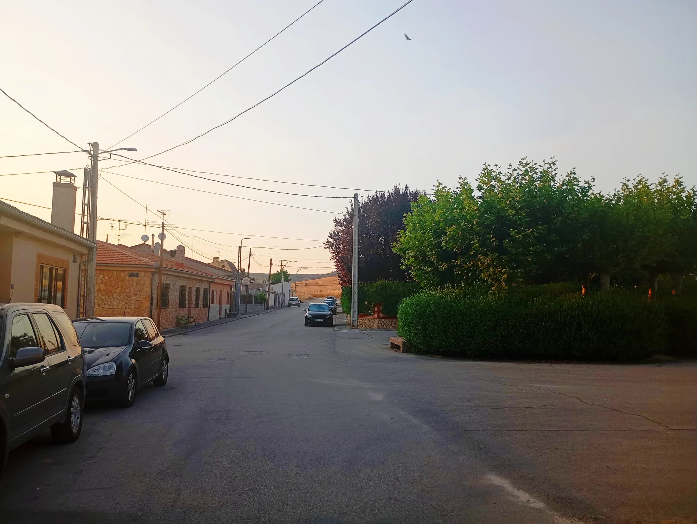 Carrascal del Río