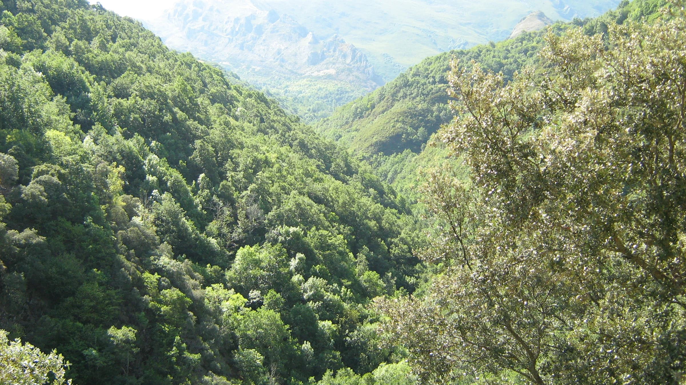 Ponferrada