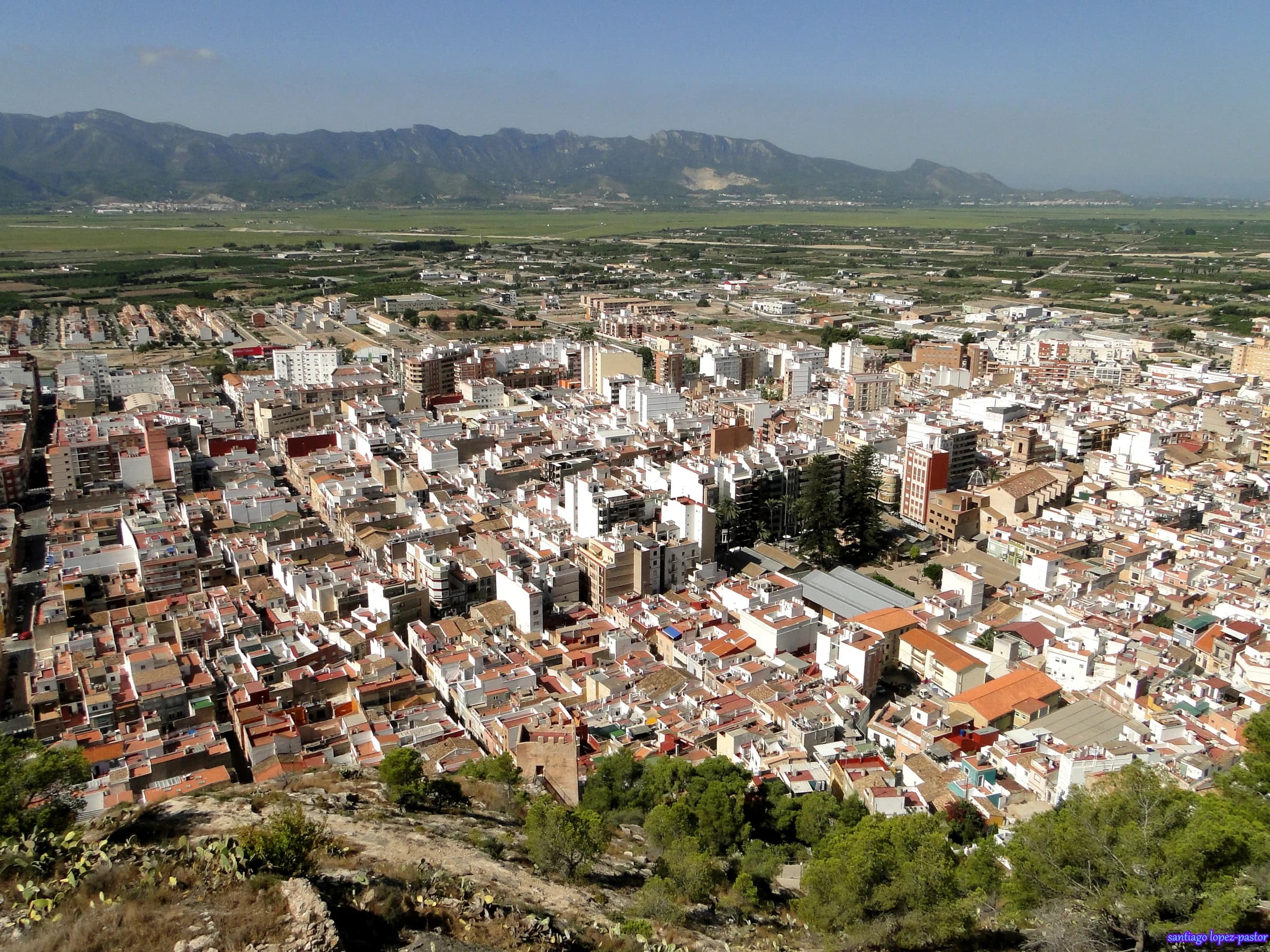 Cullera
