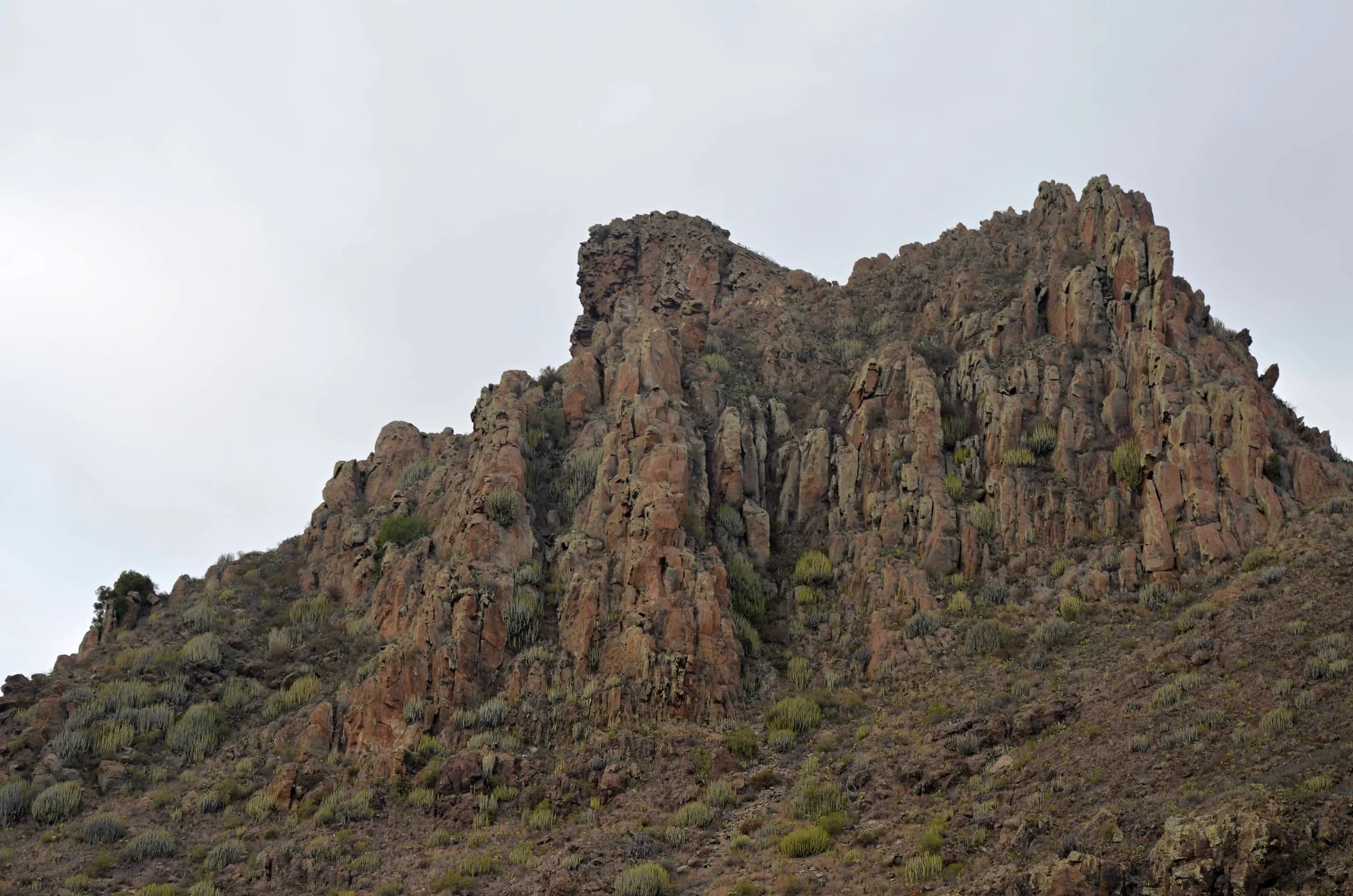 San Miguel de Abona