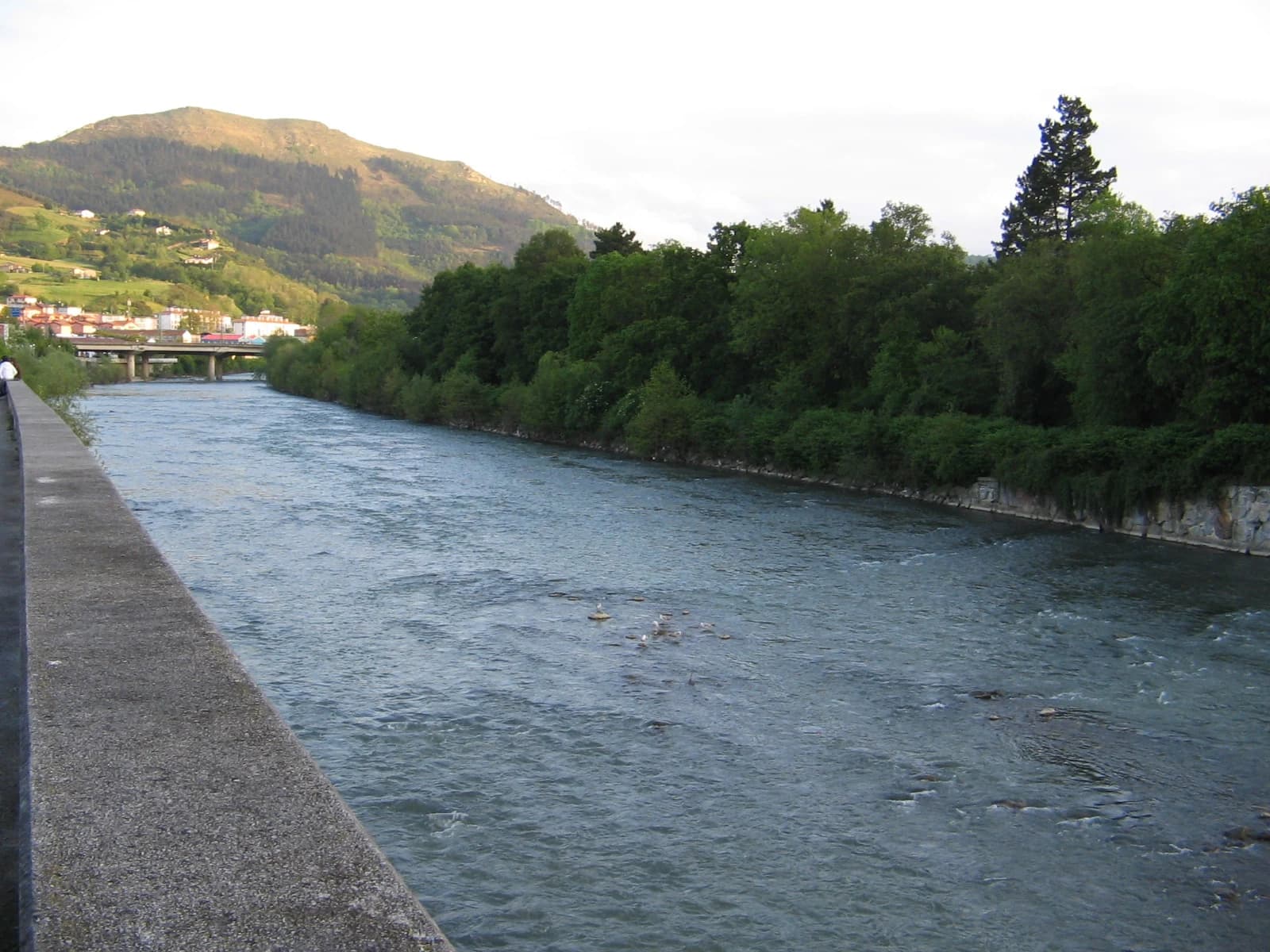 Lasarte-Oria