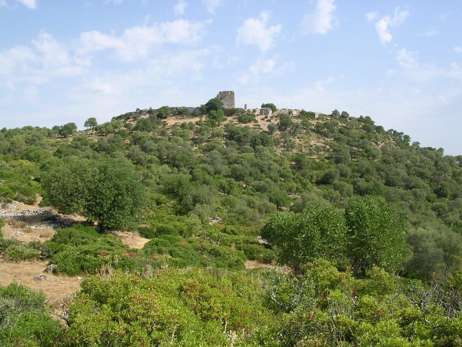 Villamartín
