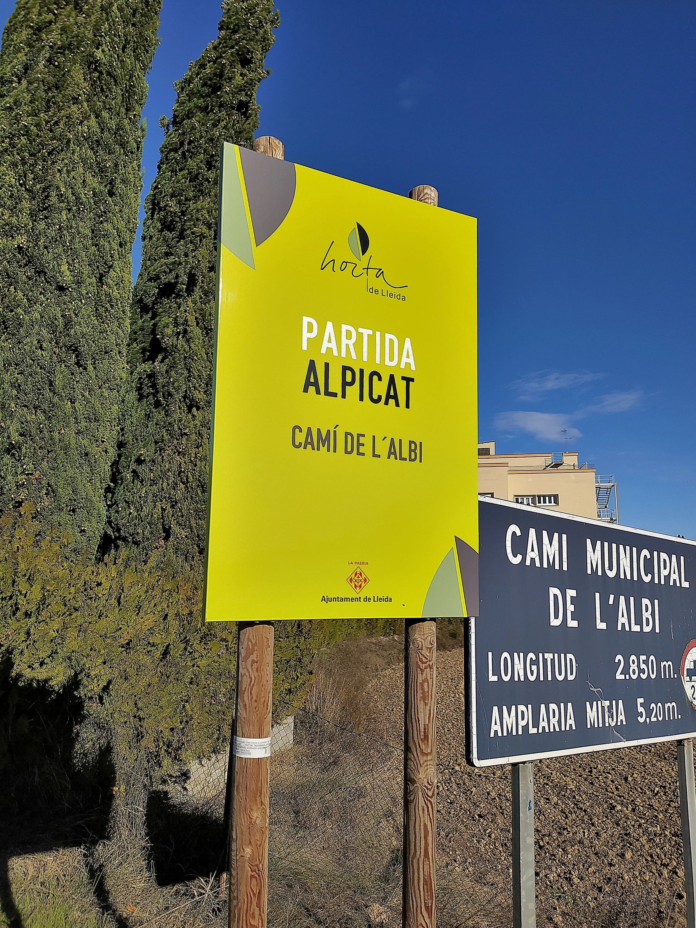 Alpicat